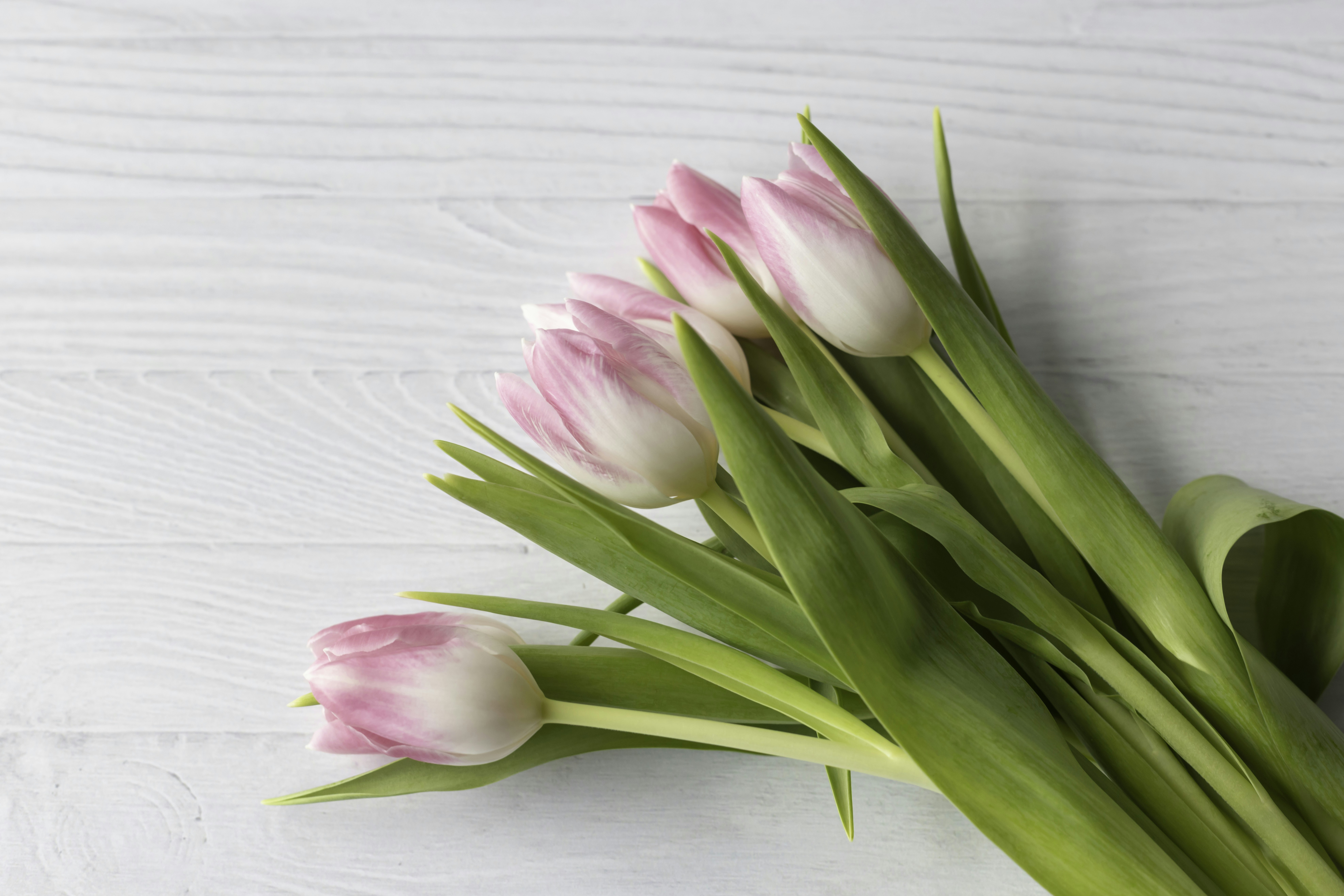 Photo by native7photo