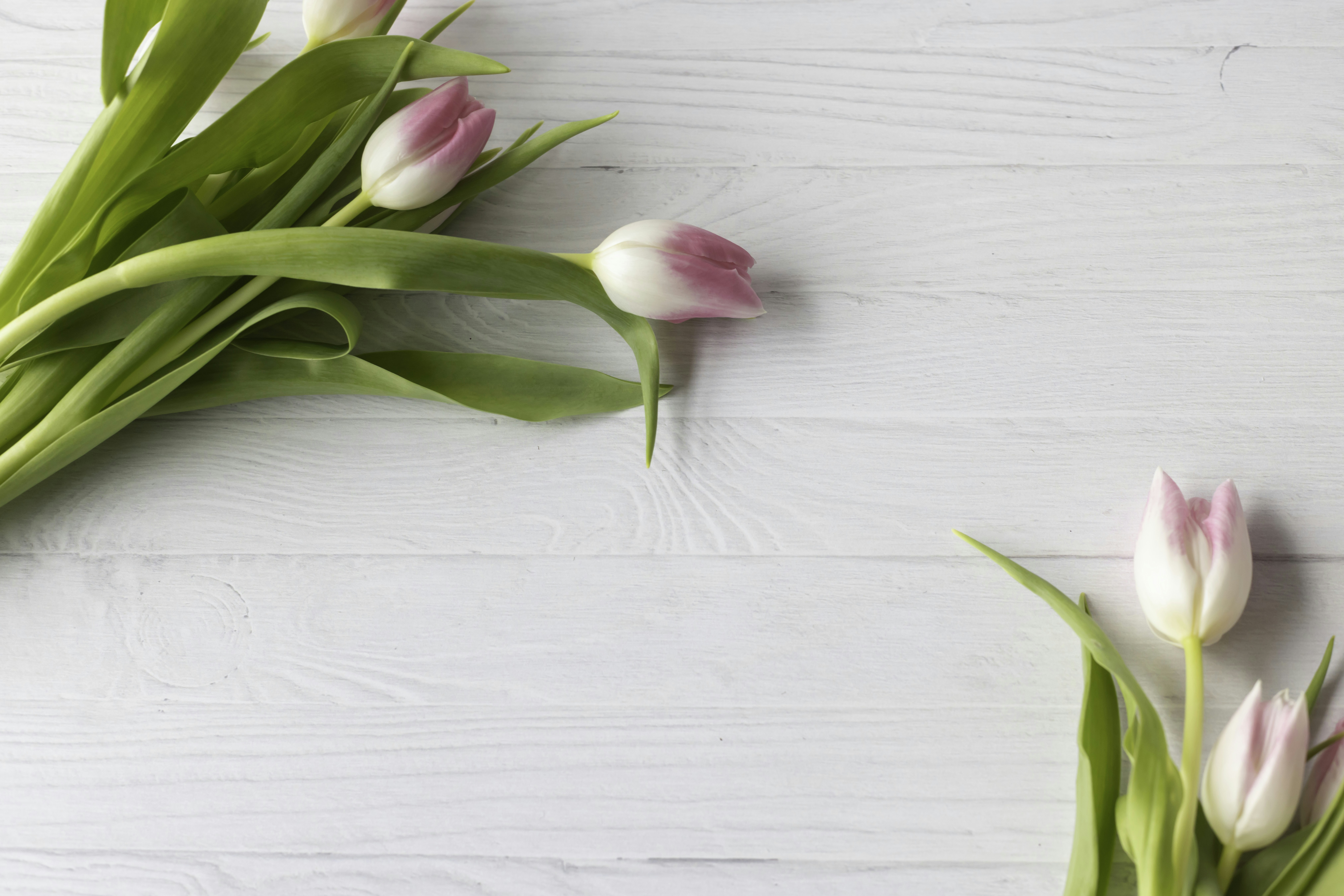 Photo by native7photo