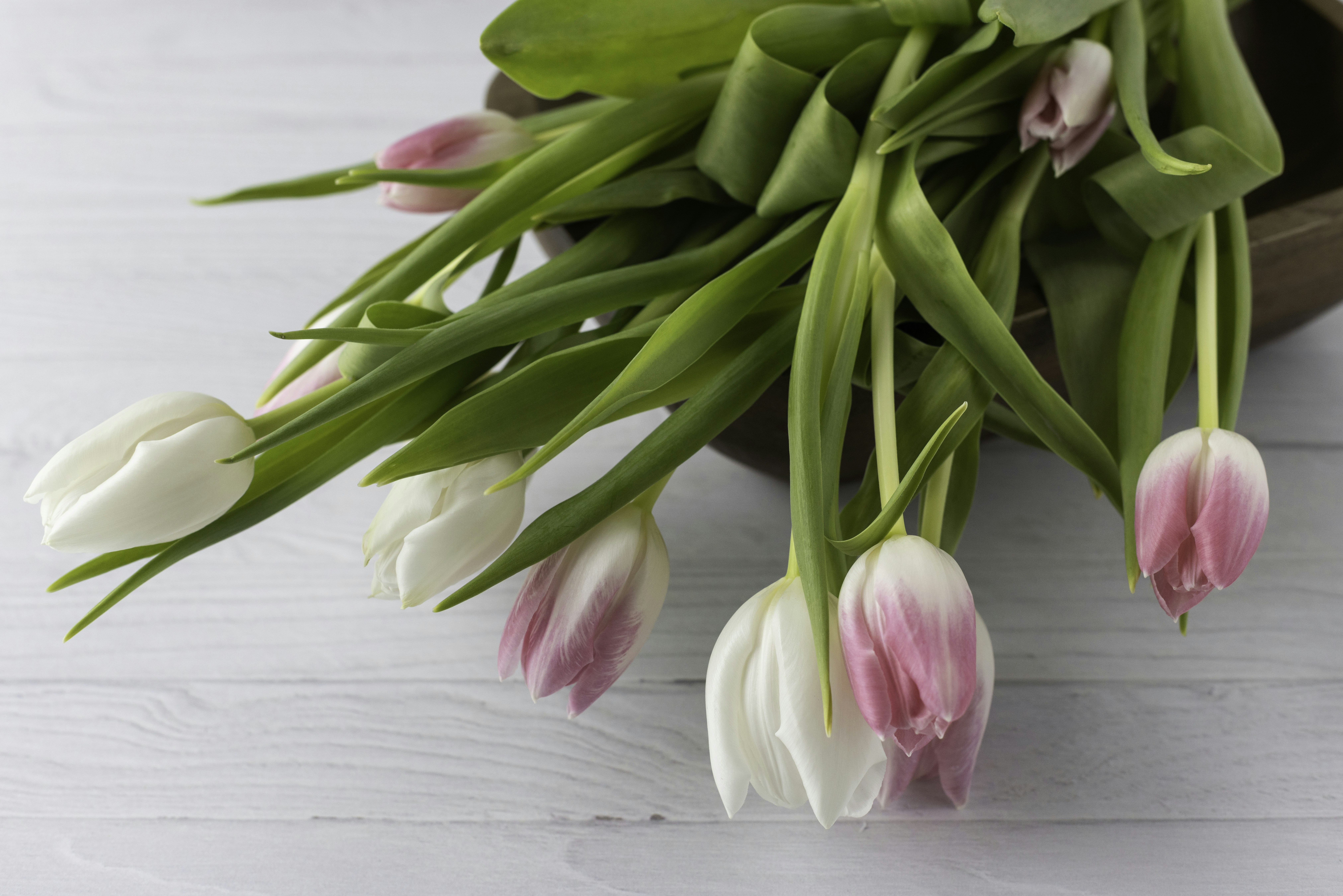 Photo by native7photo