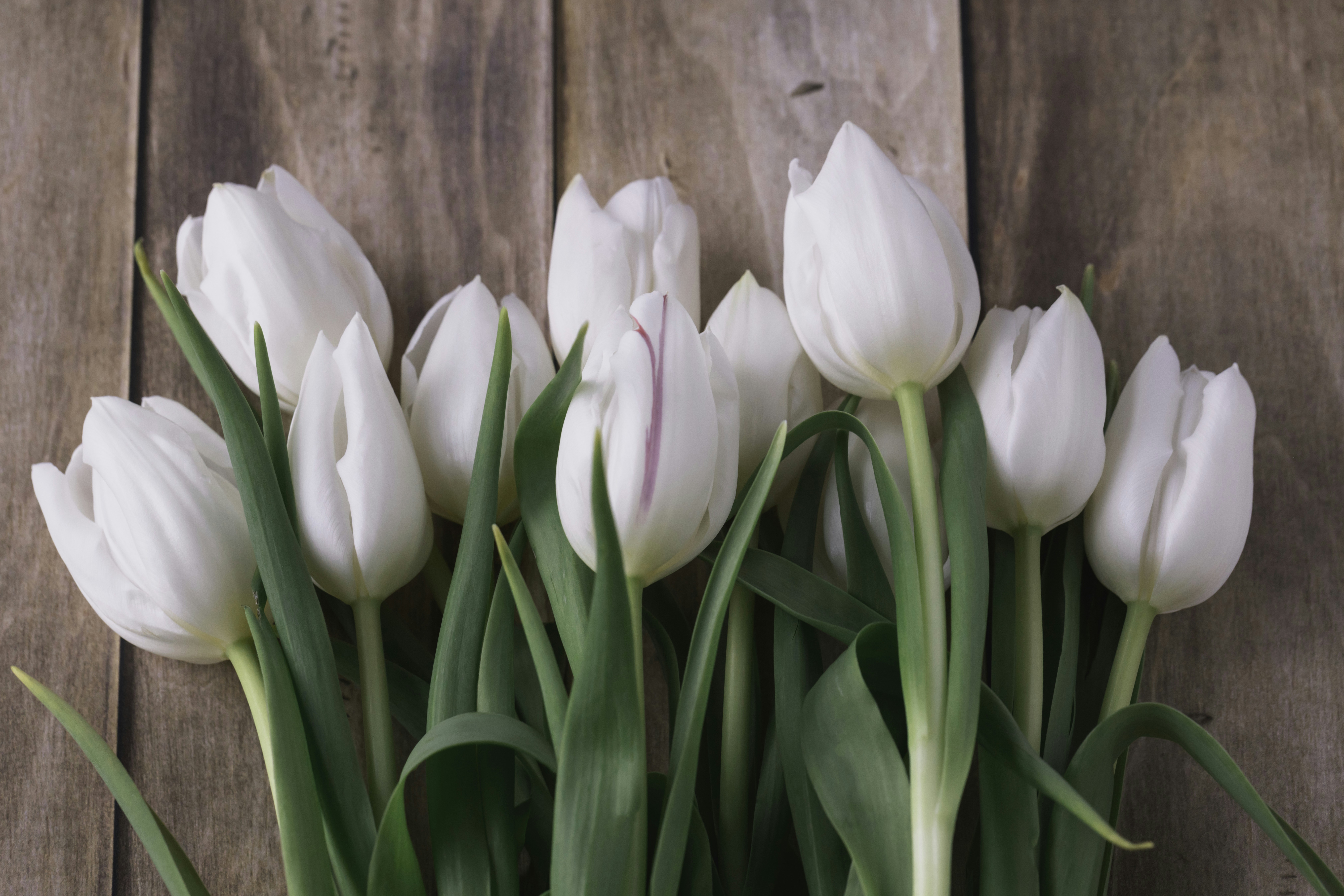 Photo by native7photo