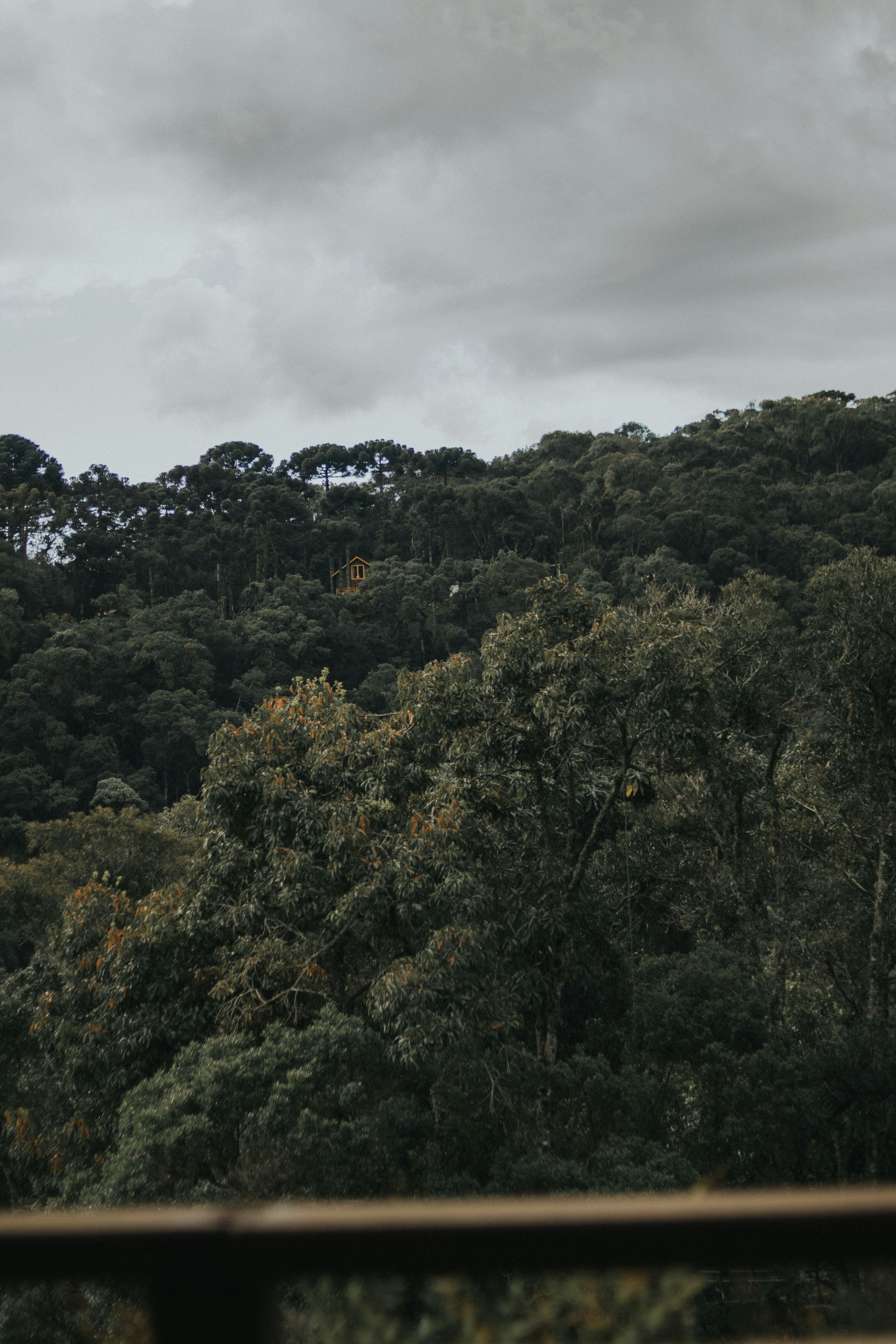 Photo by julianemonari