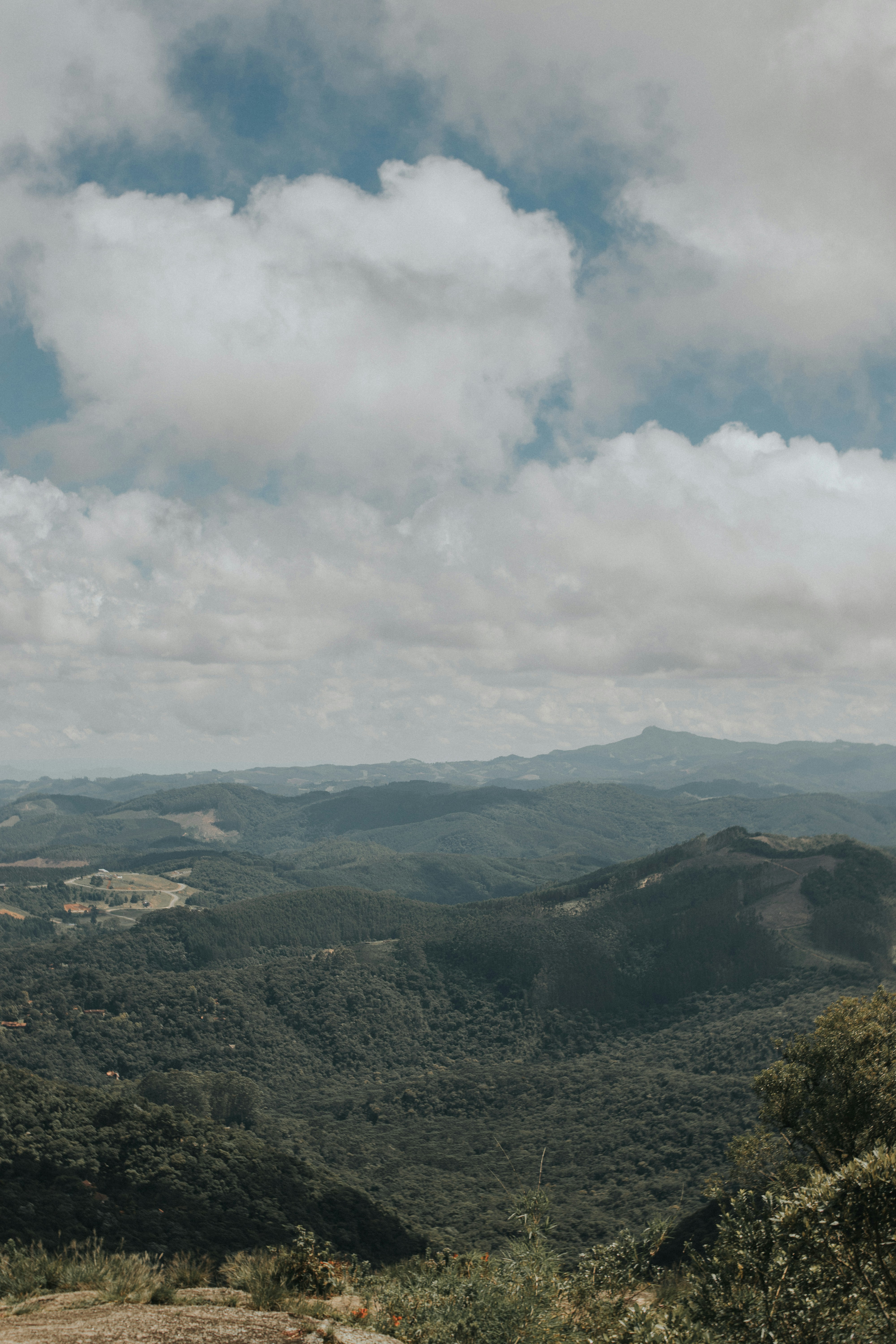 Photo by julianemonari