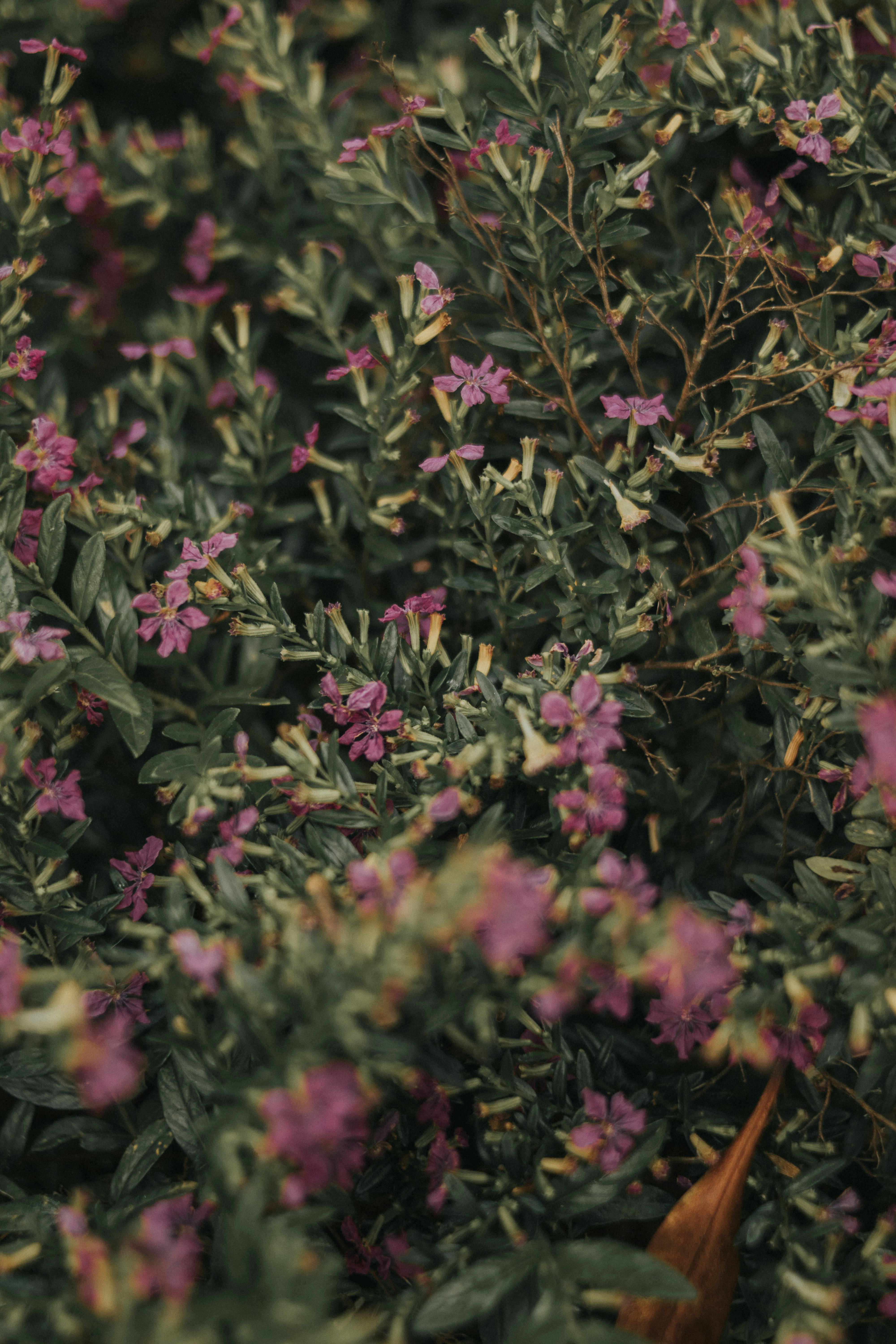 Photo by julianemonari