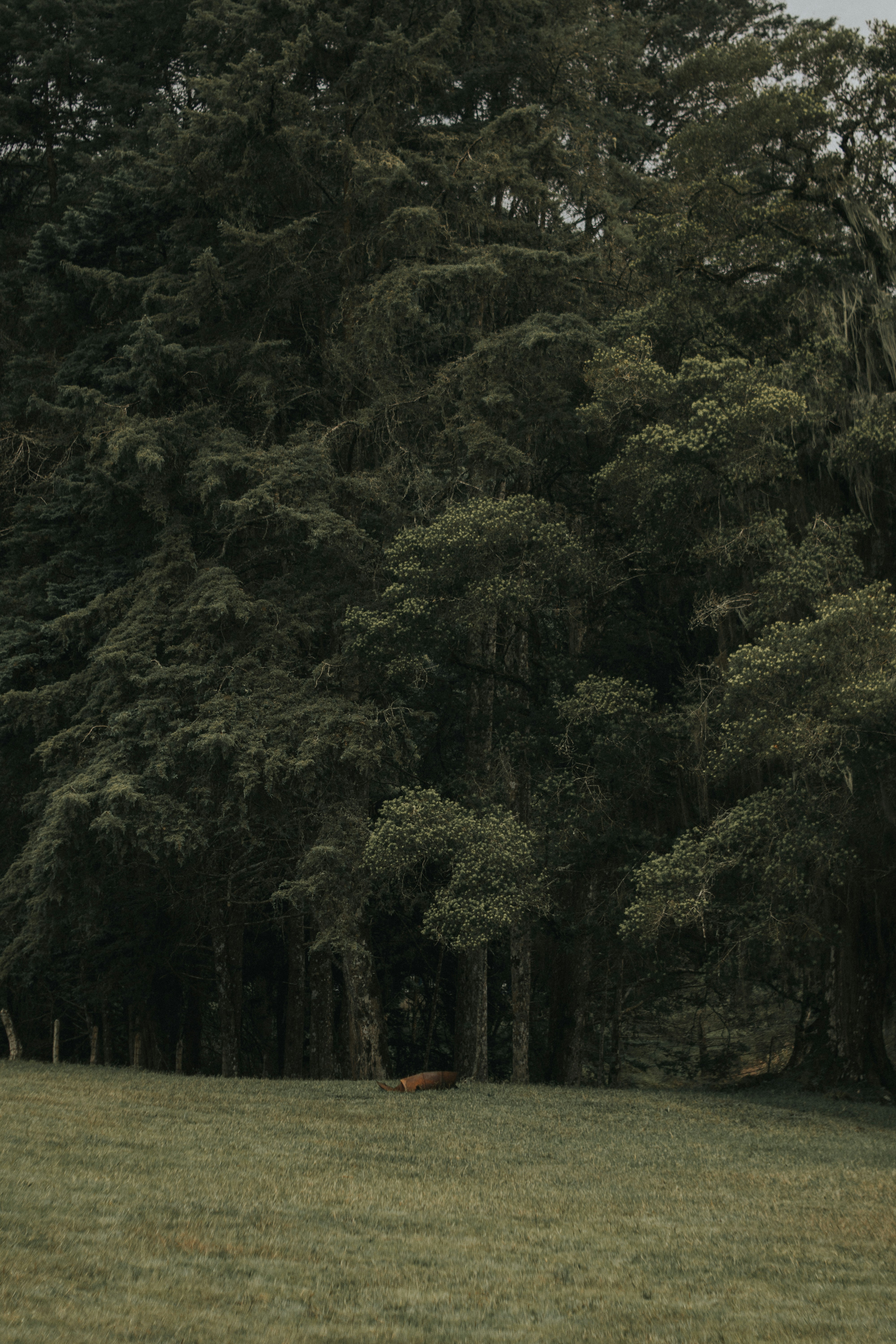 Photo by julianemonari