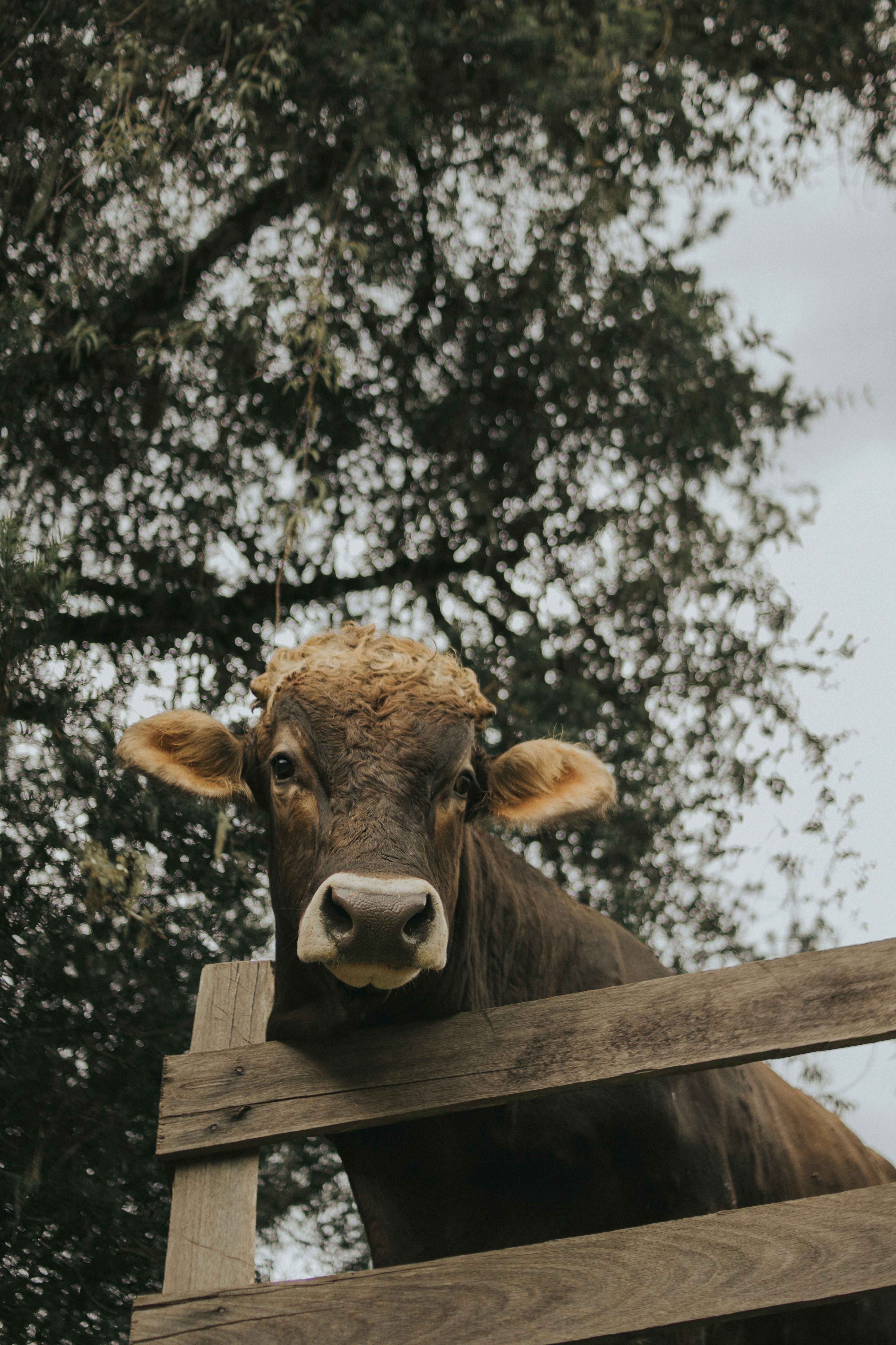 Photo by julianemonari