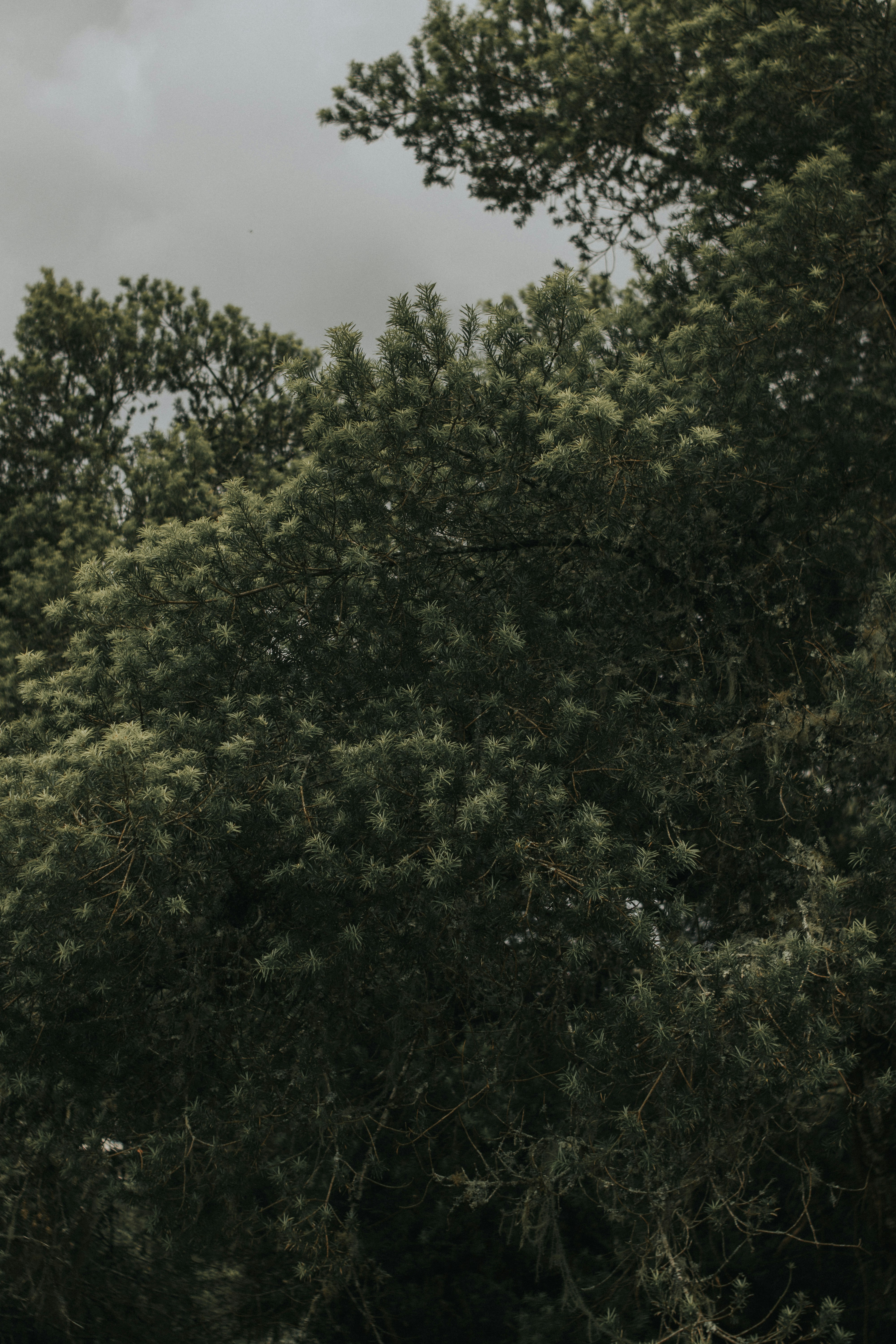 Photo by julianemonari