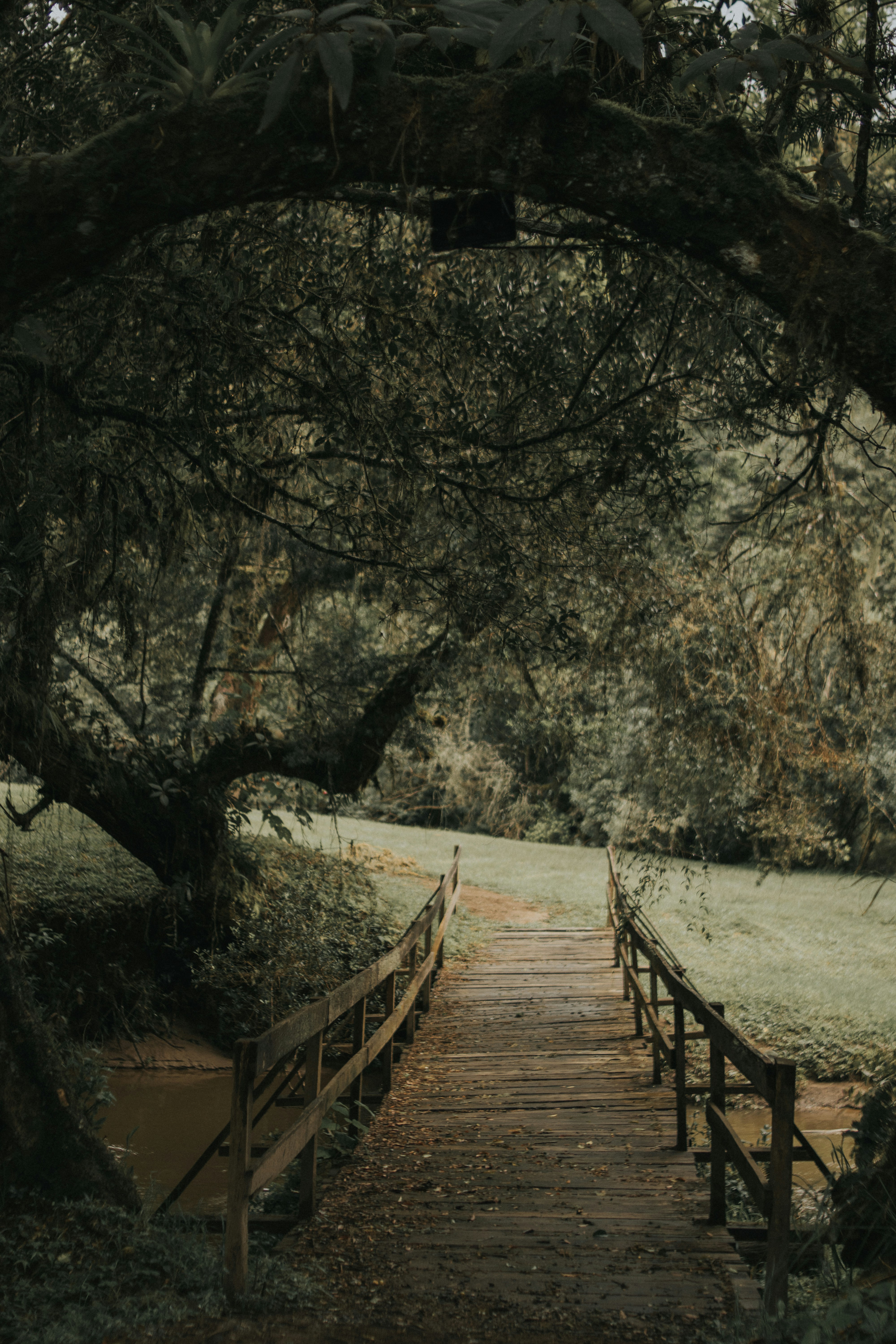 Photo by julianemonari