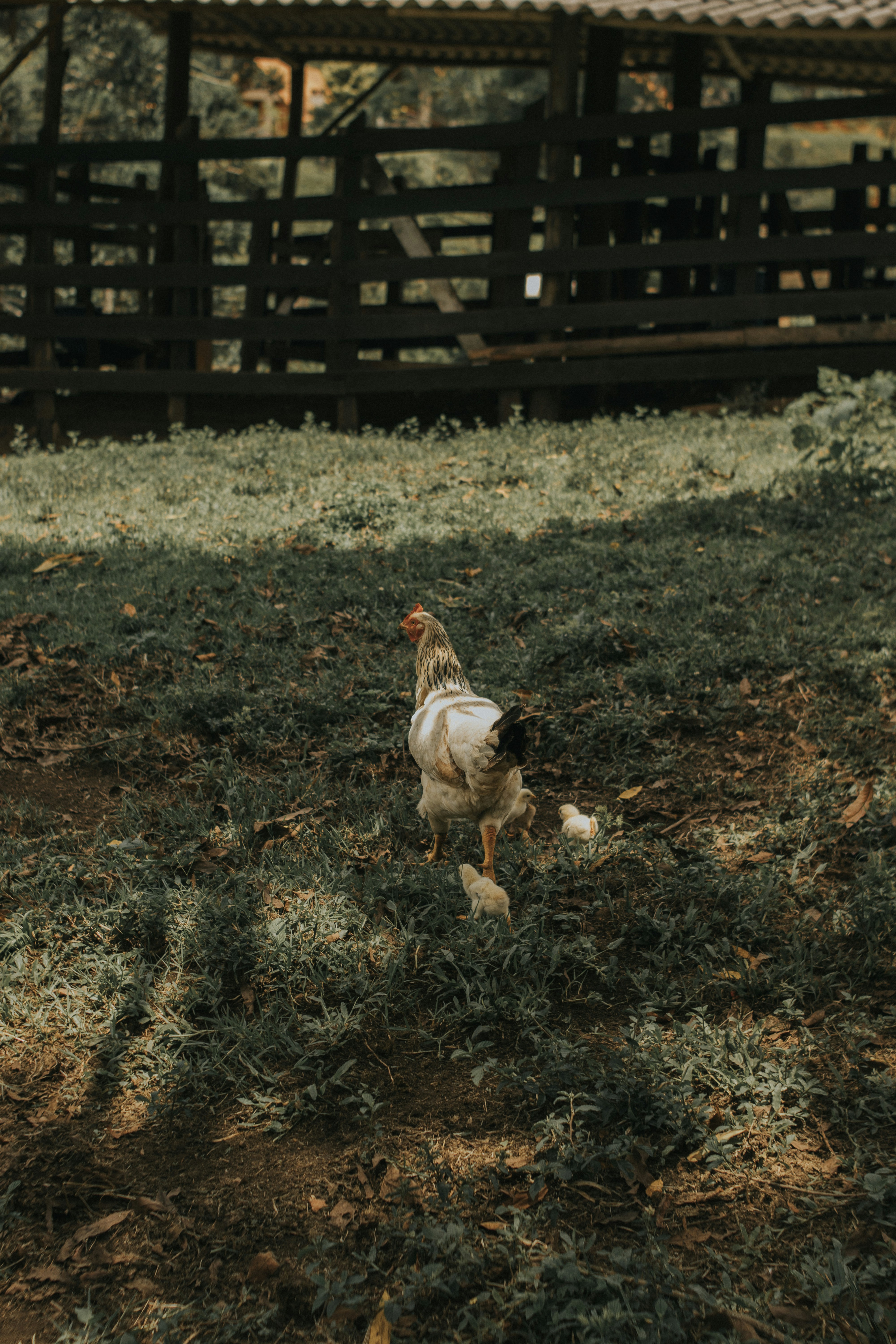 Photo by julianemonari