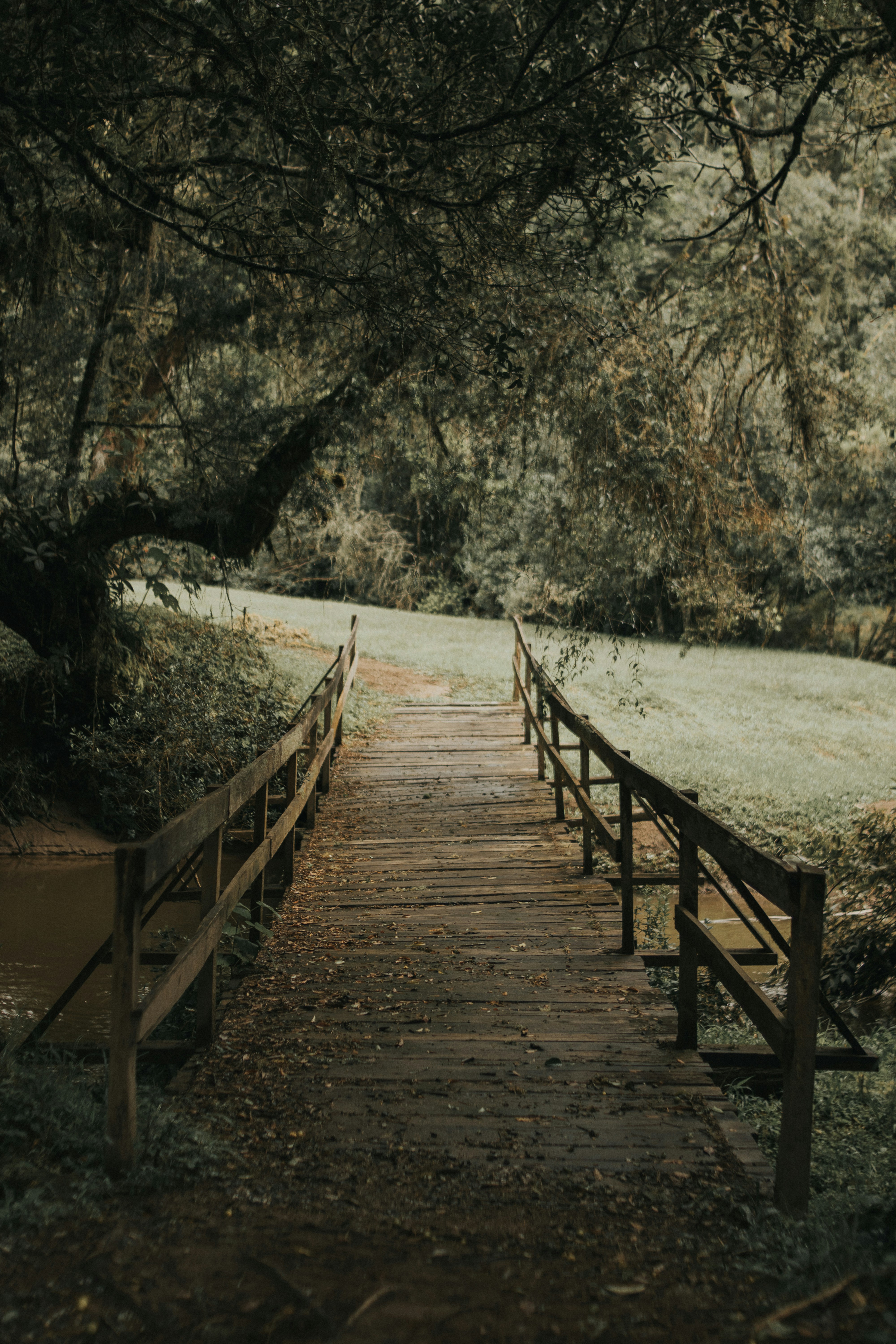 Photo by julianemonari