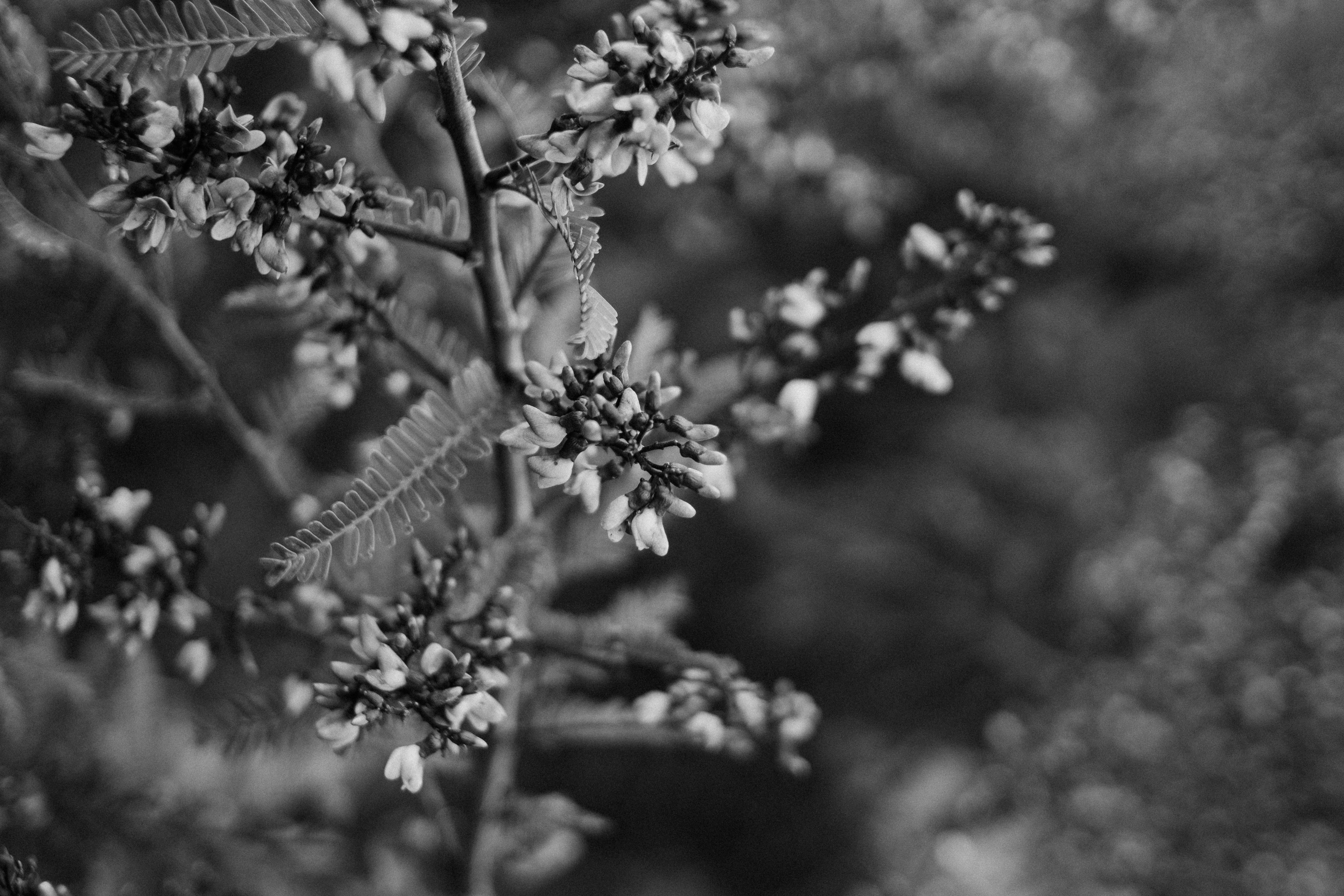 Photo by julianemonari