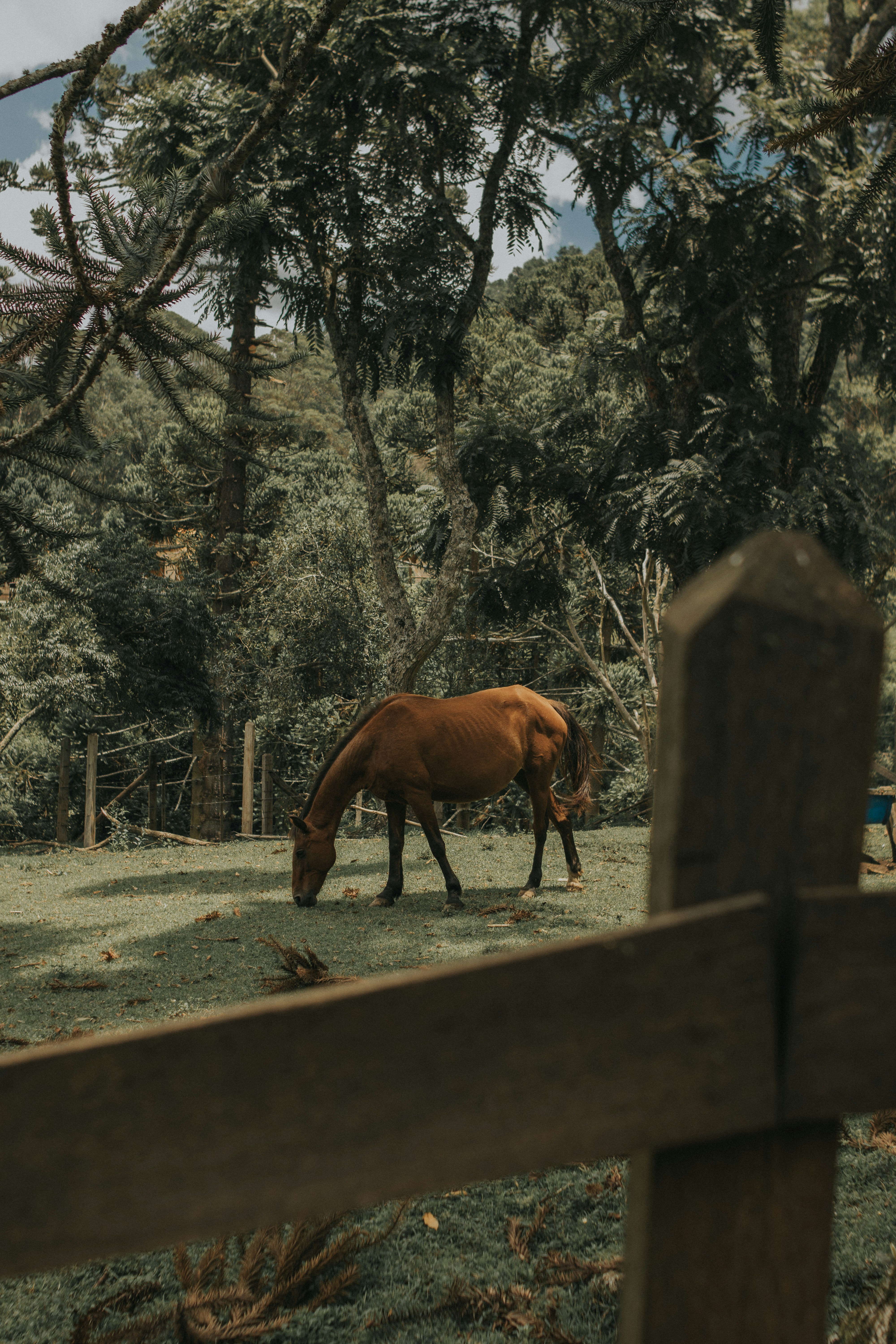 Photo by julianemonari