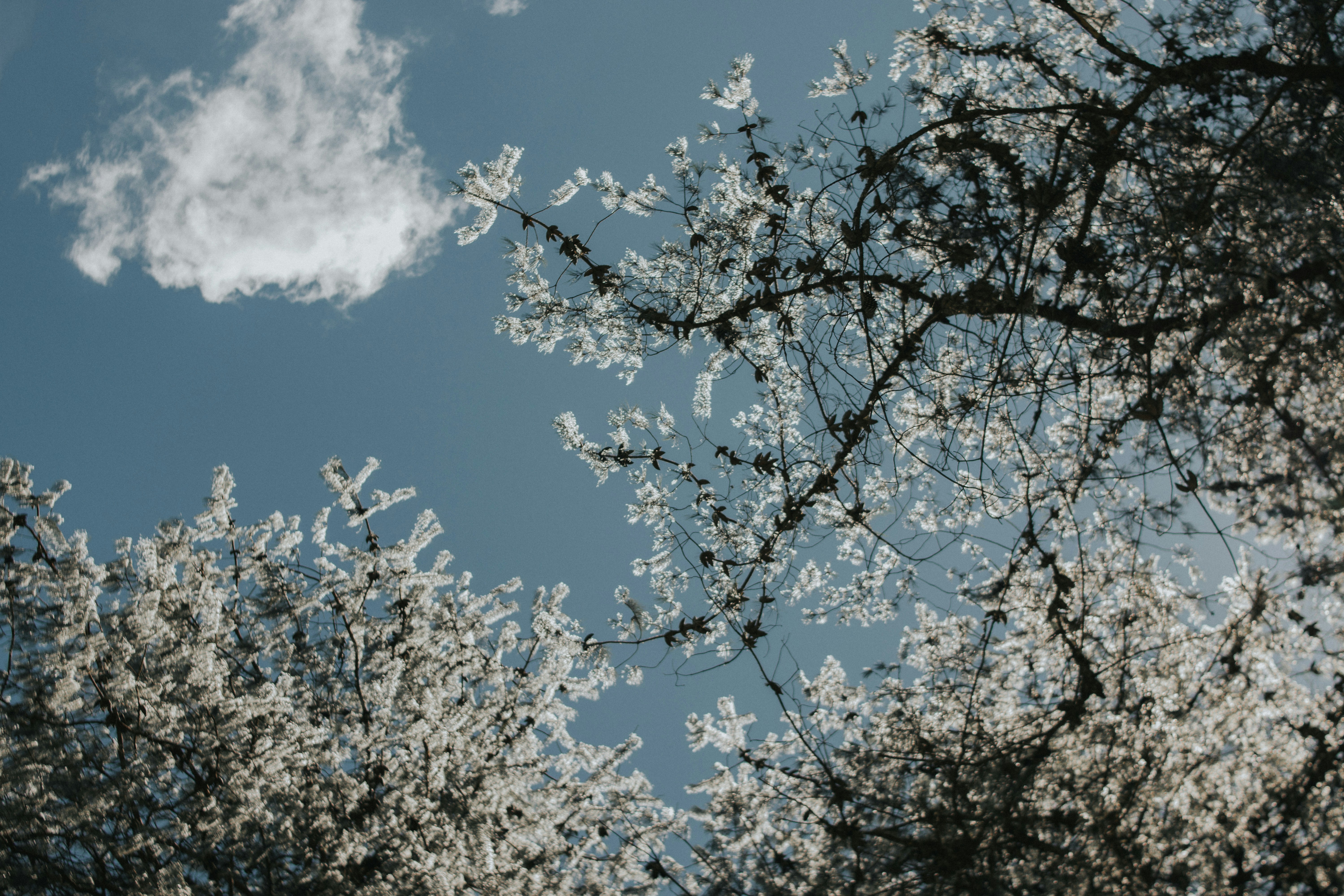 Photo by julianemonari