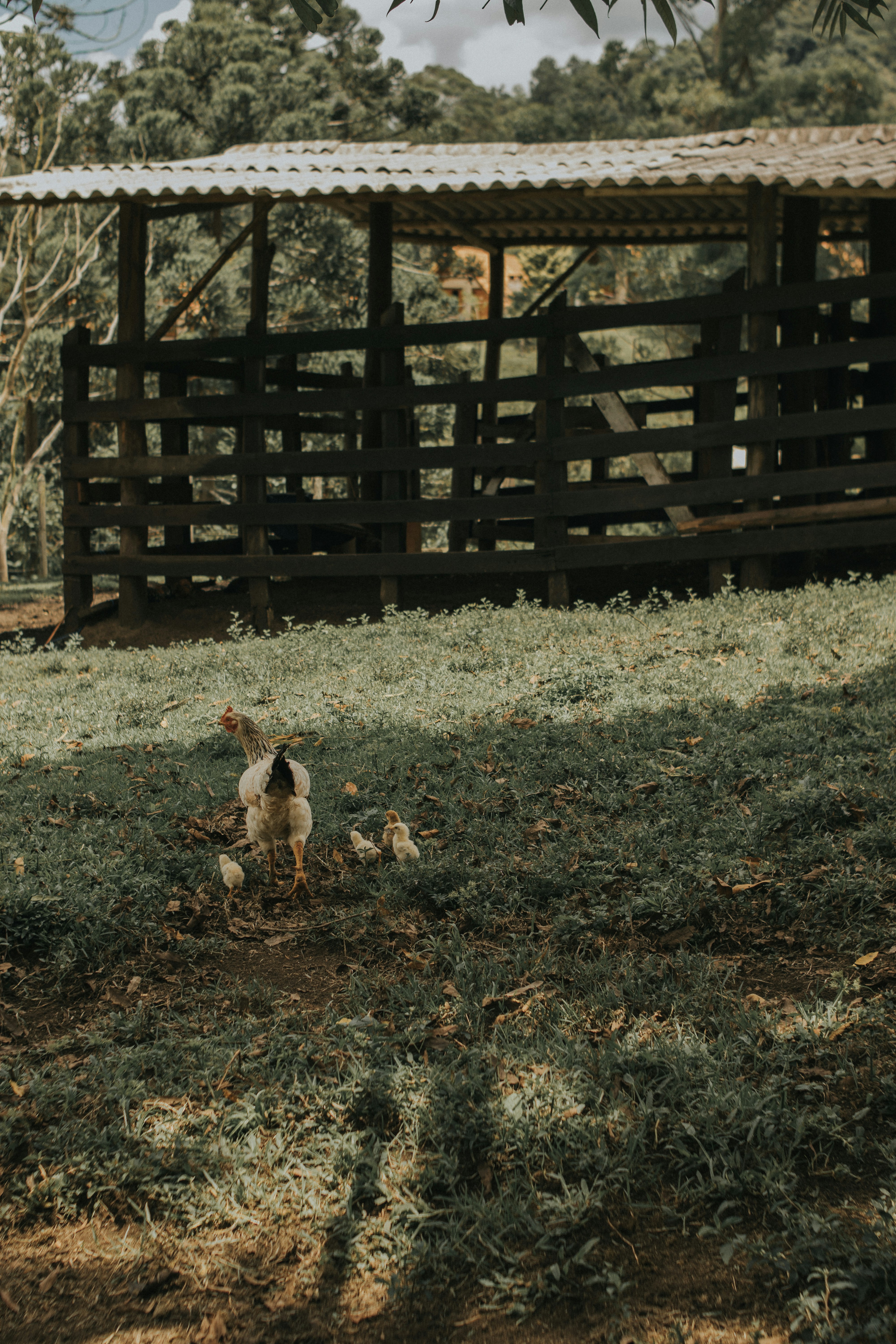 Photo by julianemonari