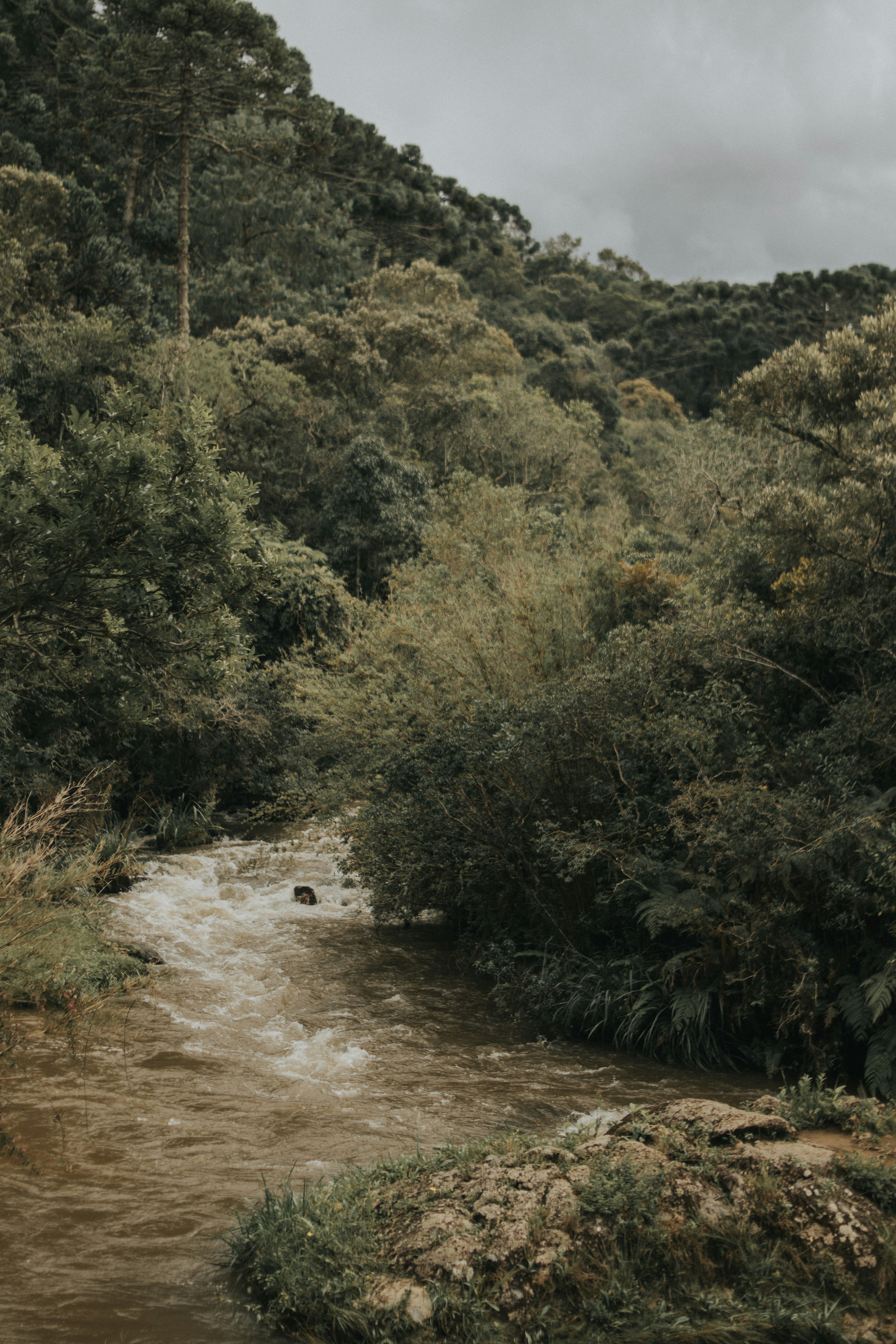 Photo by julianemonari