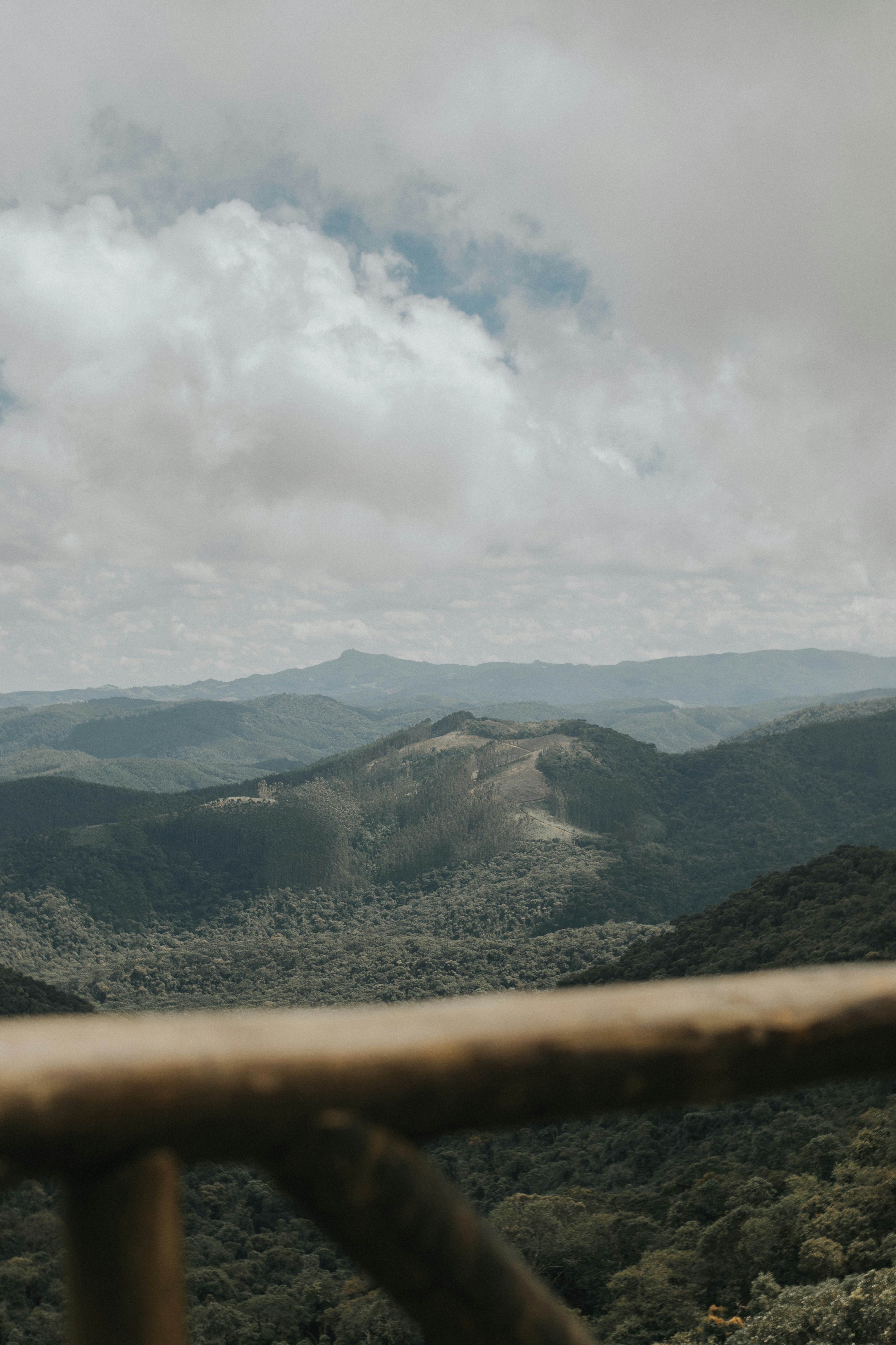 Photo by julianemonari