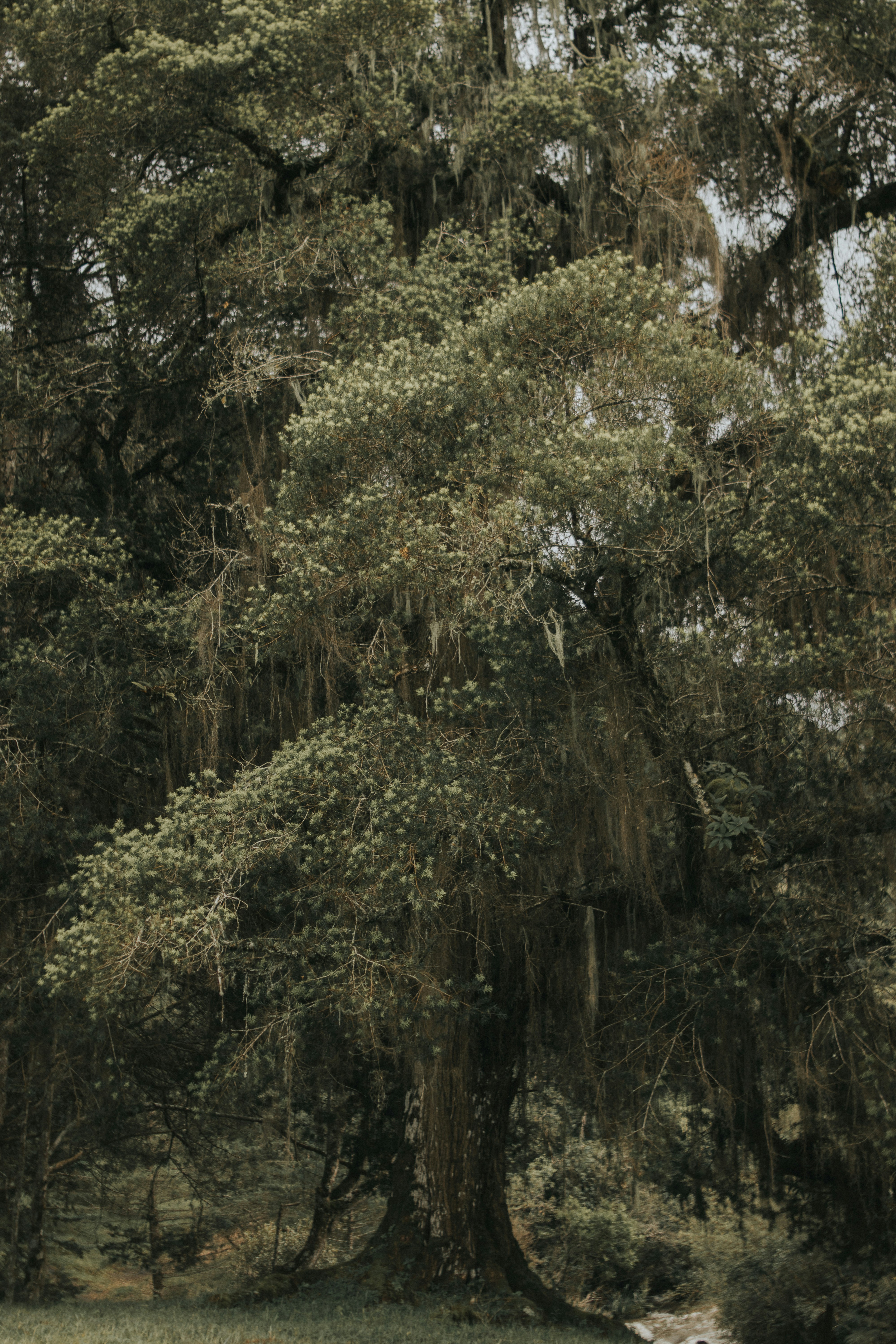 Photo by julianemonari