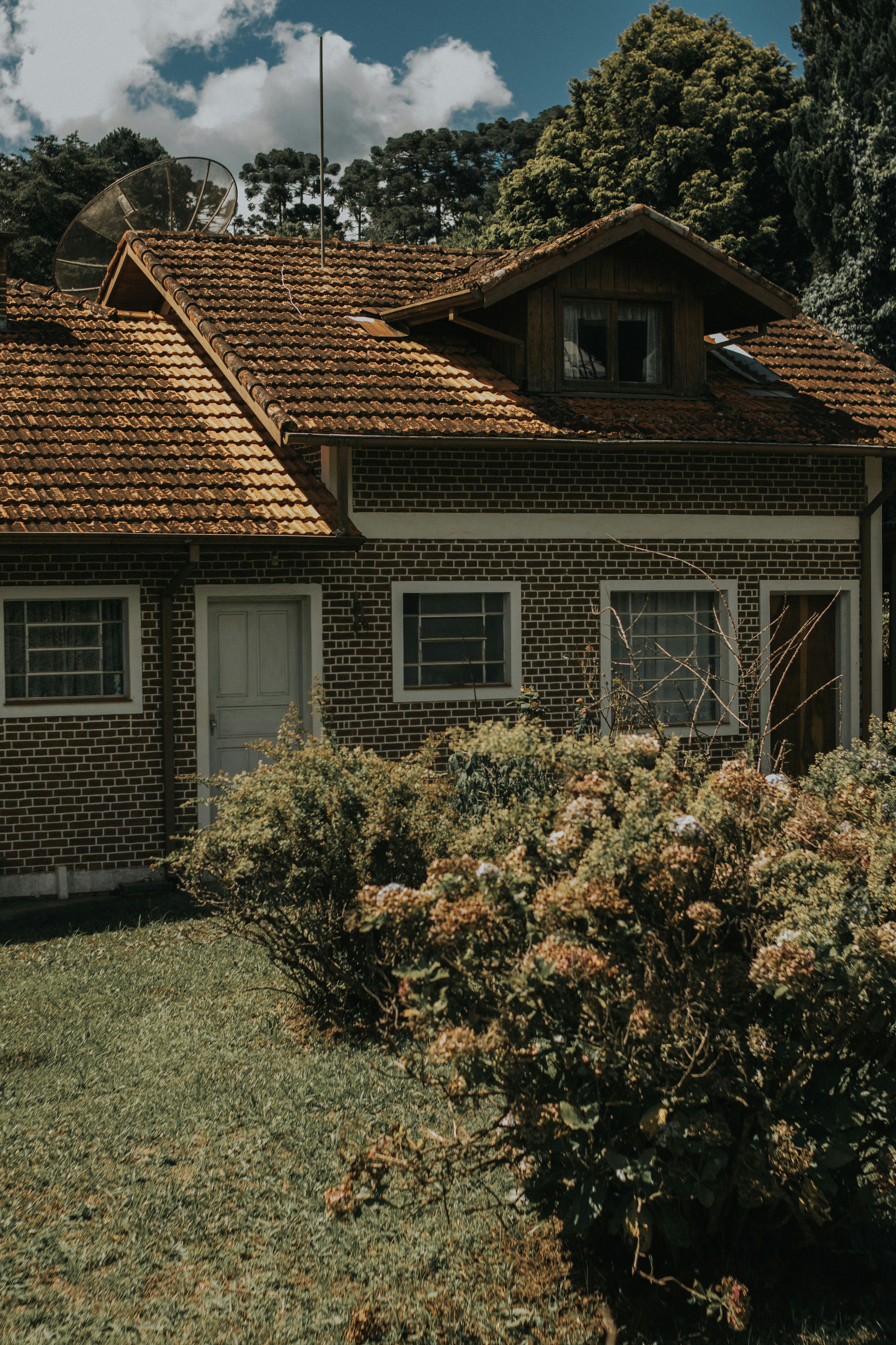 photo-1740080166819-dc3ee1d45433?ixid=M3wxMjA3fDB8MXxzZWFyY2h8N3x8aHVpcyUyMHZlcmJvdXdlbnxlbnwwfHx8fDE3NTgyOTUyNTB8MA\u0026ixlib=rb-4.1.0