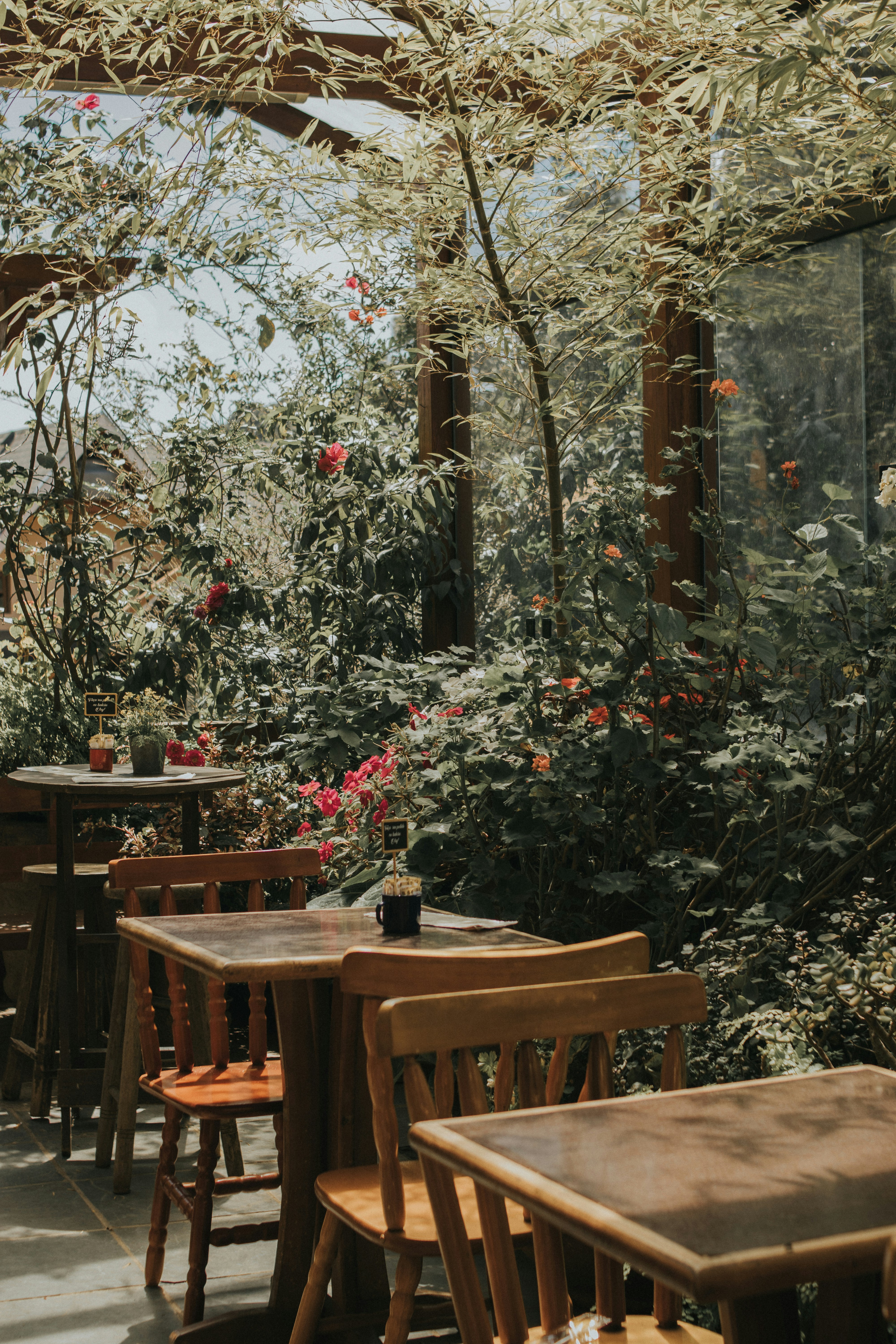 Photo by julianemonari