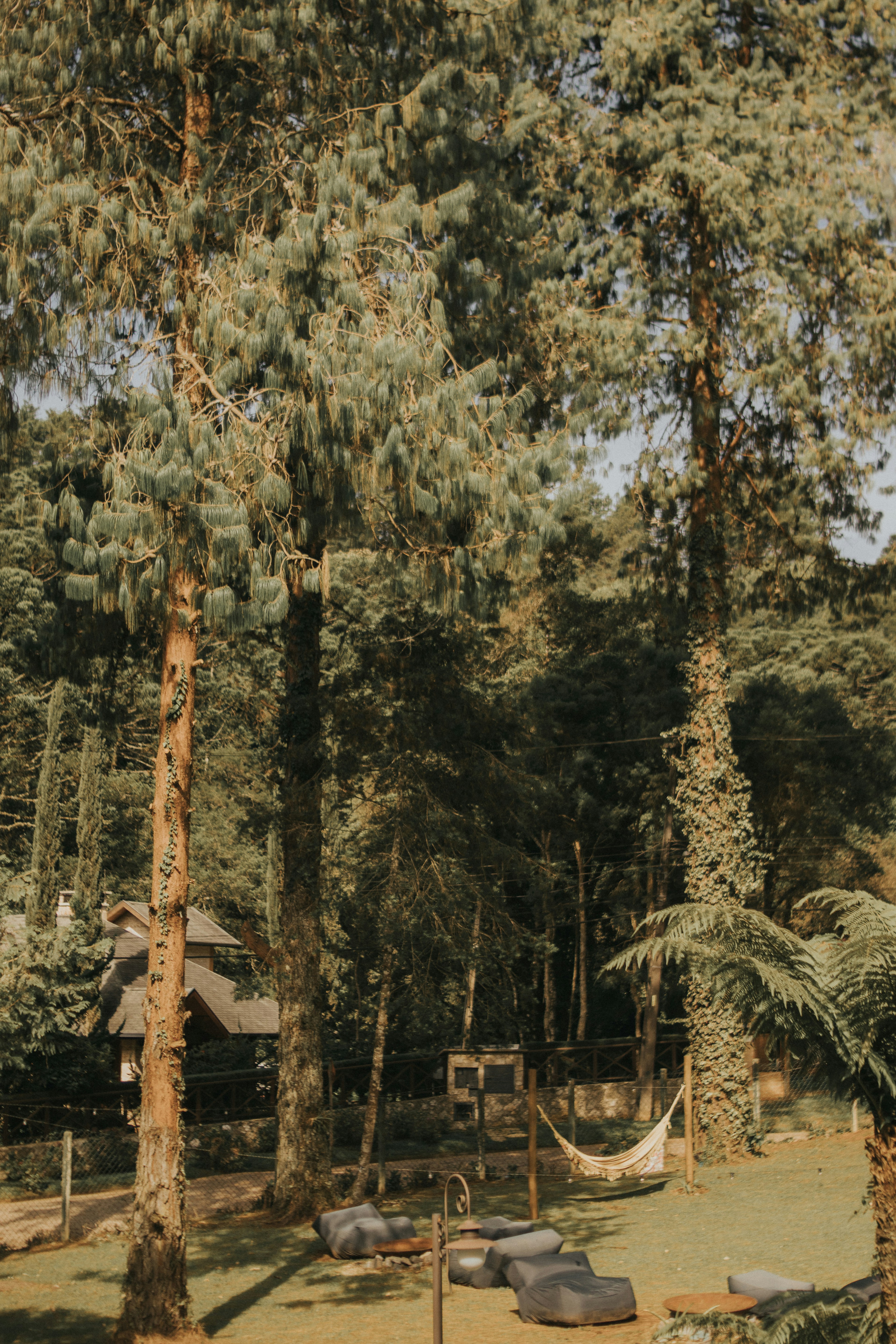 Photo by julianemonari