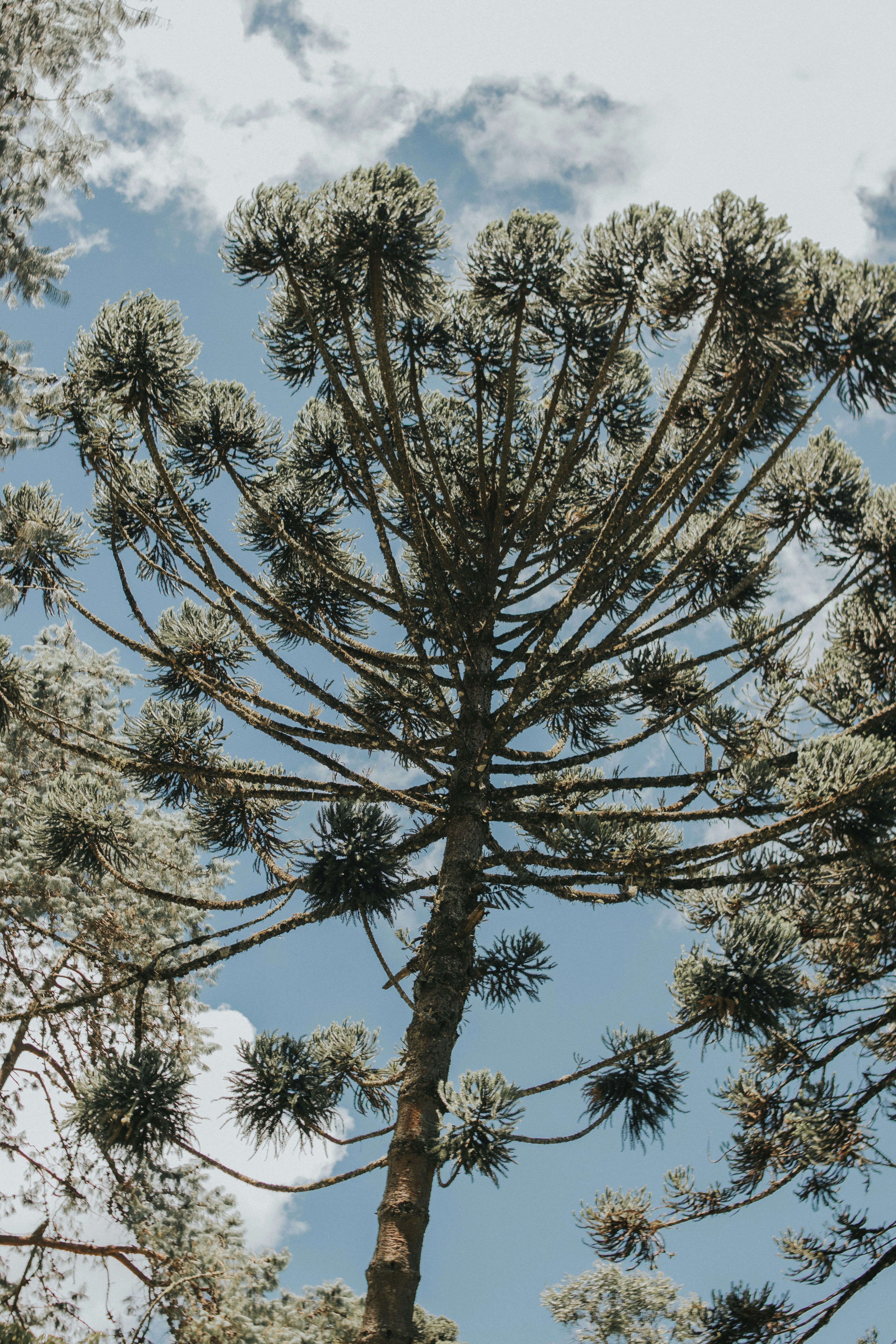 Photo by julianemonari