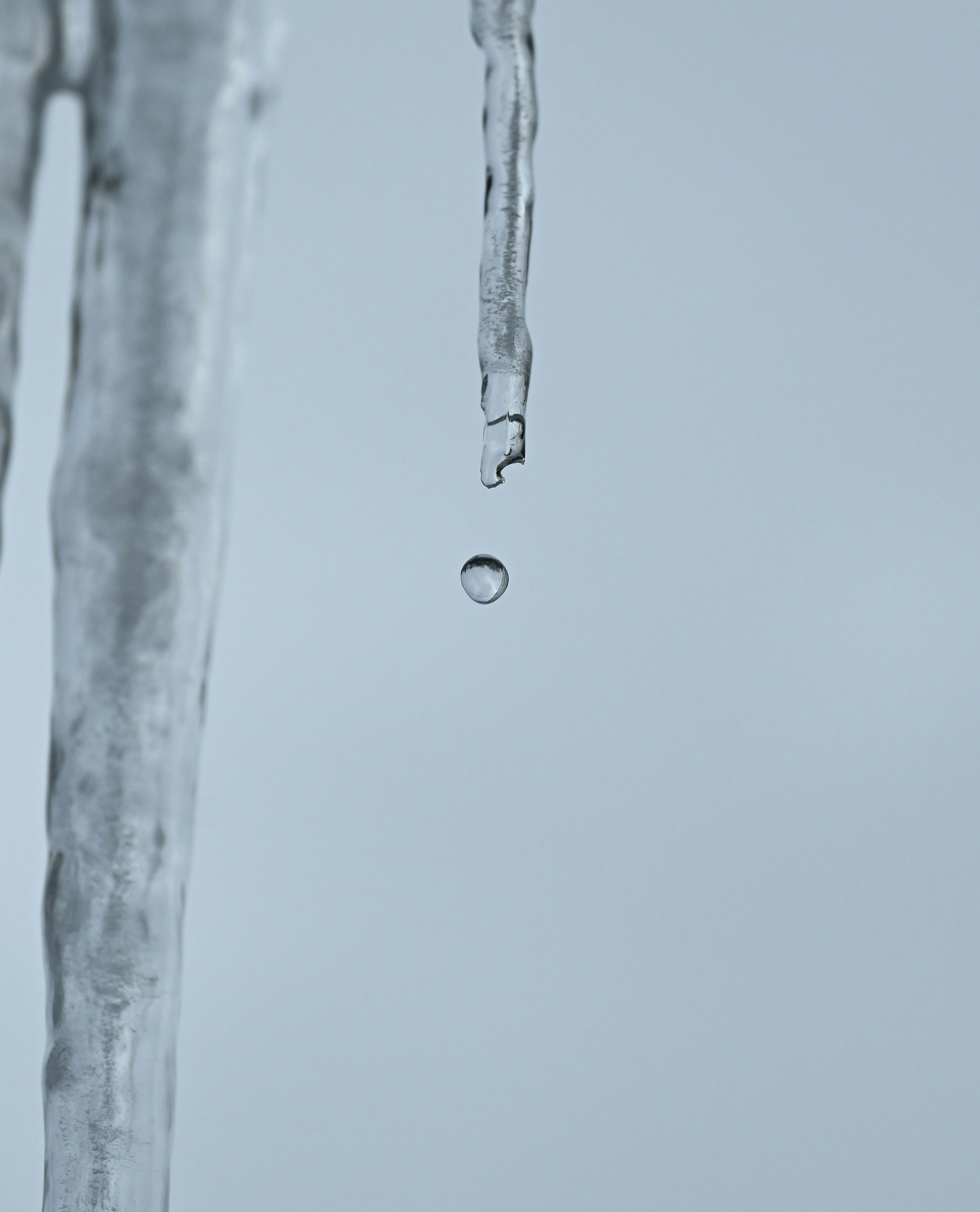 Photo by soulridephotography