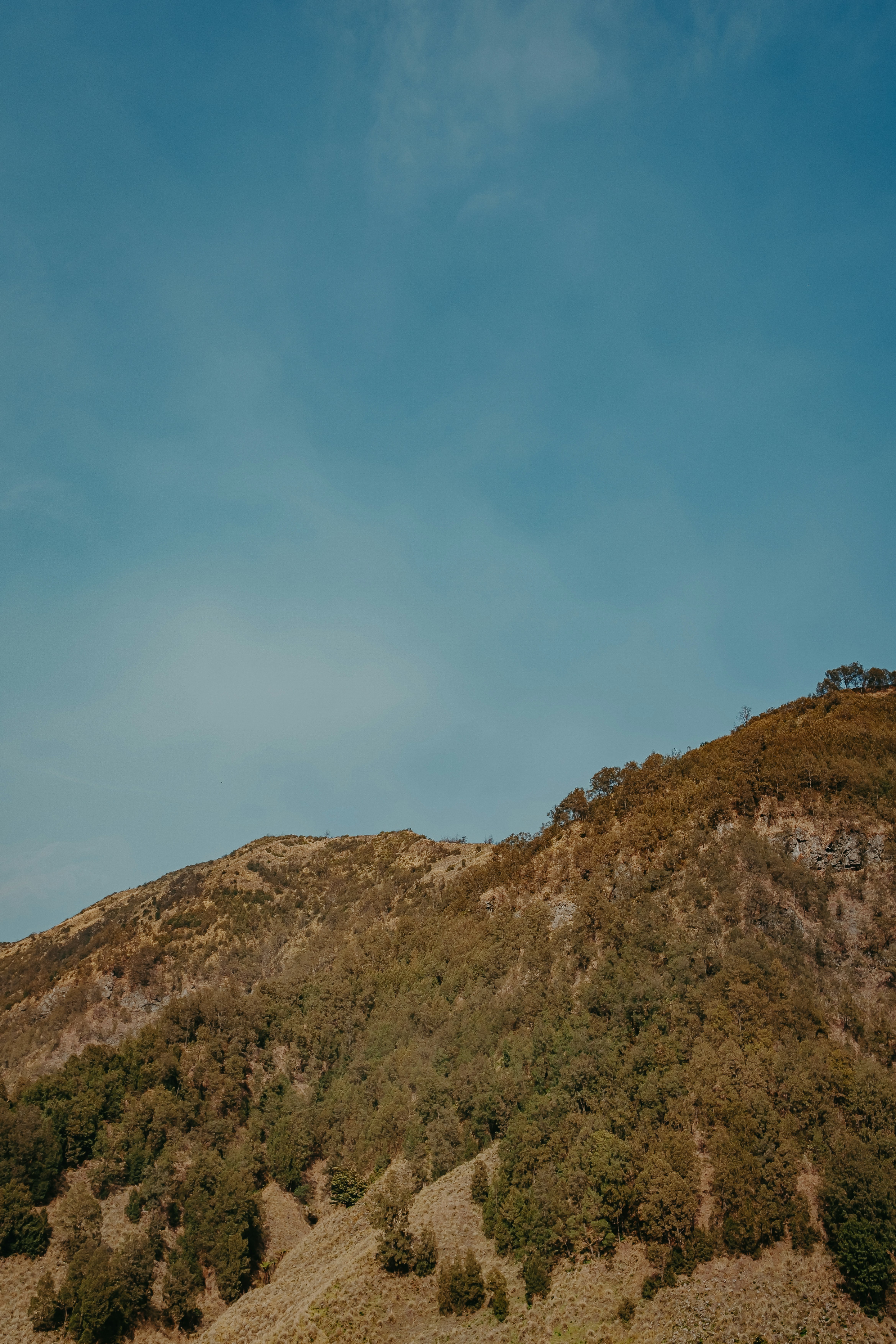 Photo by cinnamondolce