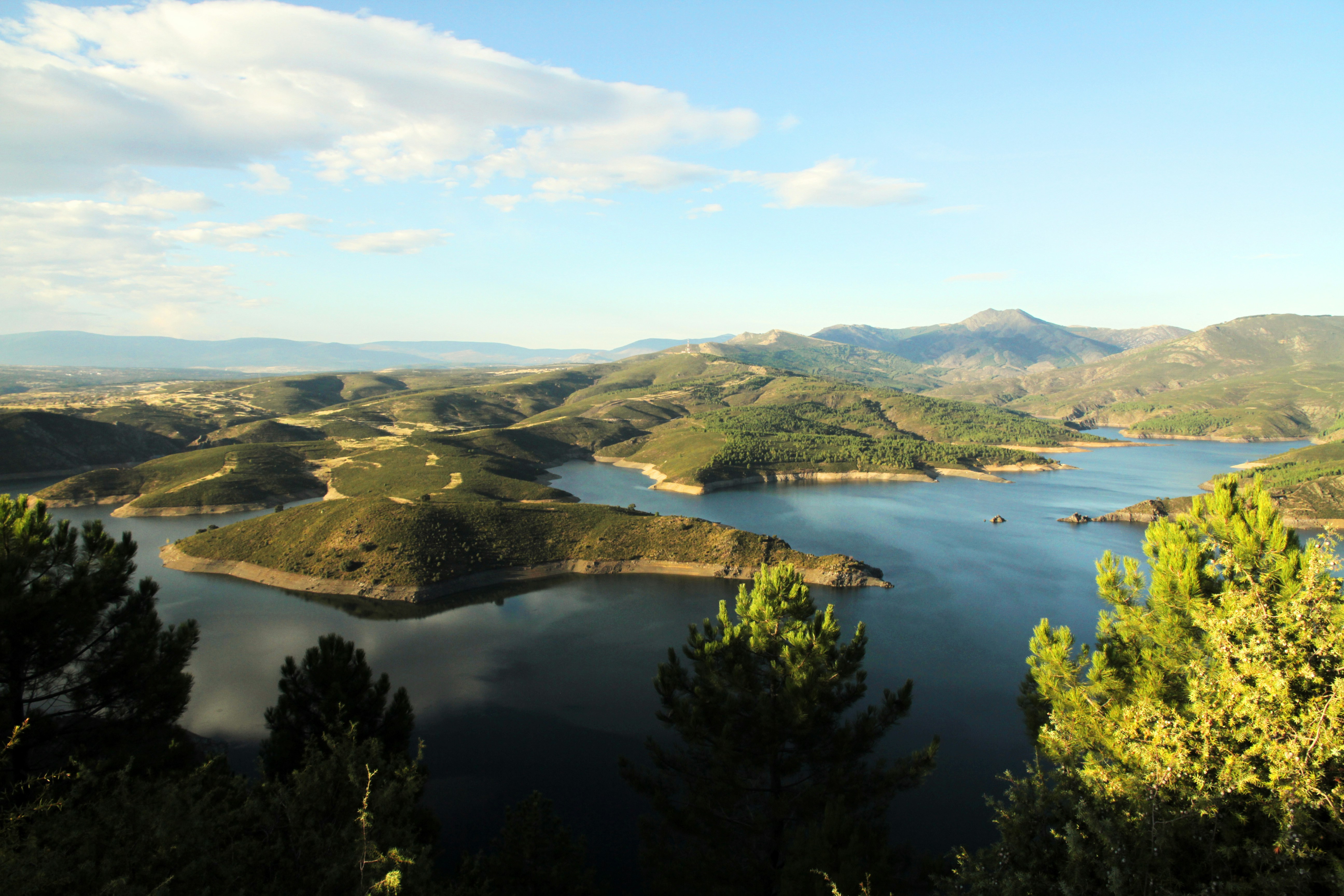 A large body of water surrounded by trees