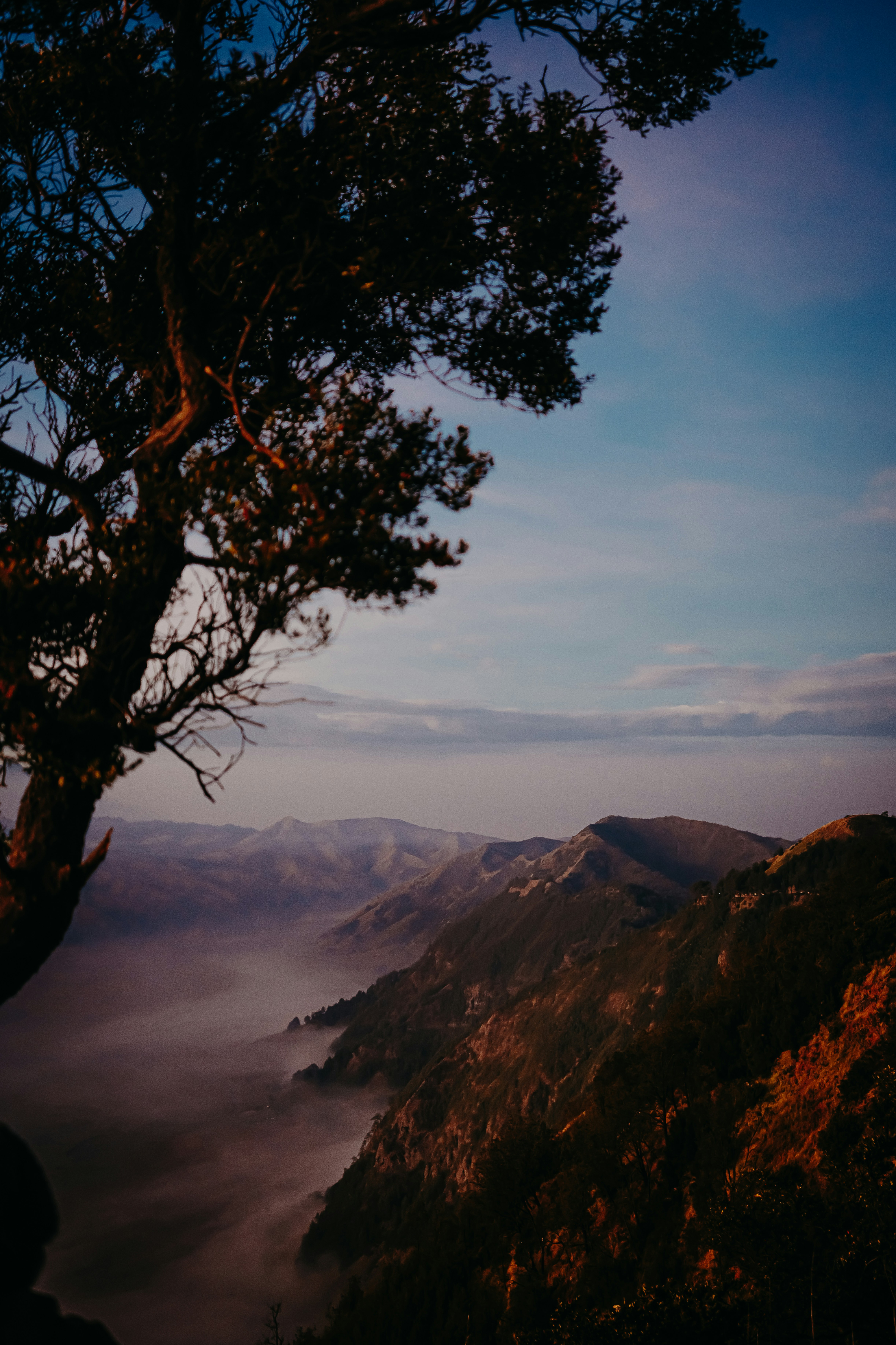 Photo by cinnamondolce