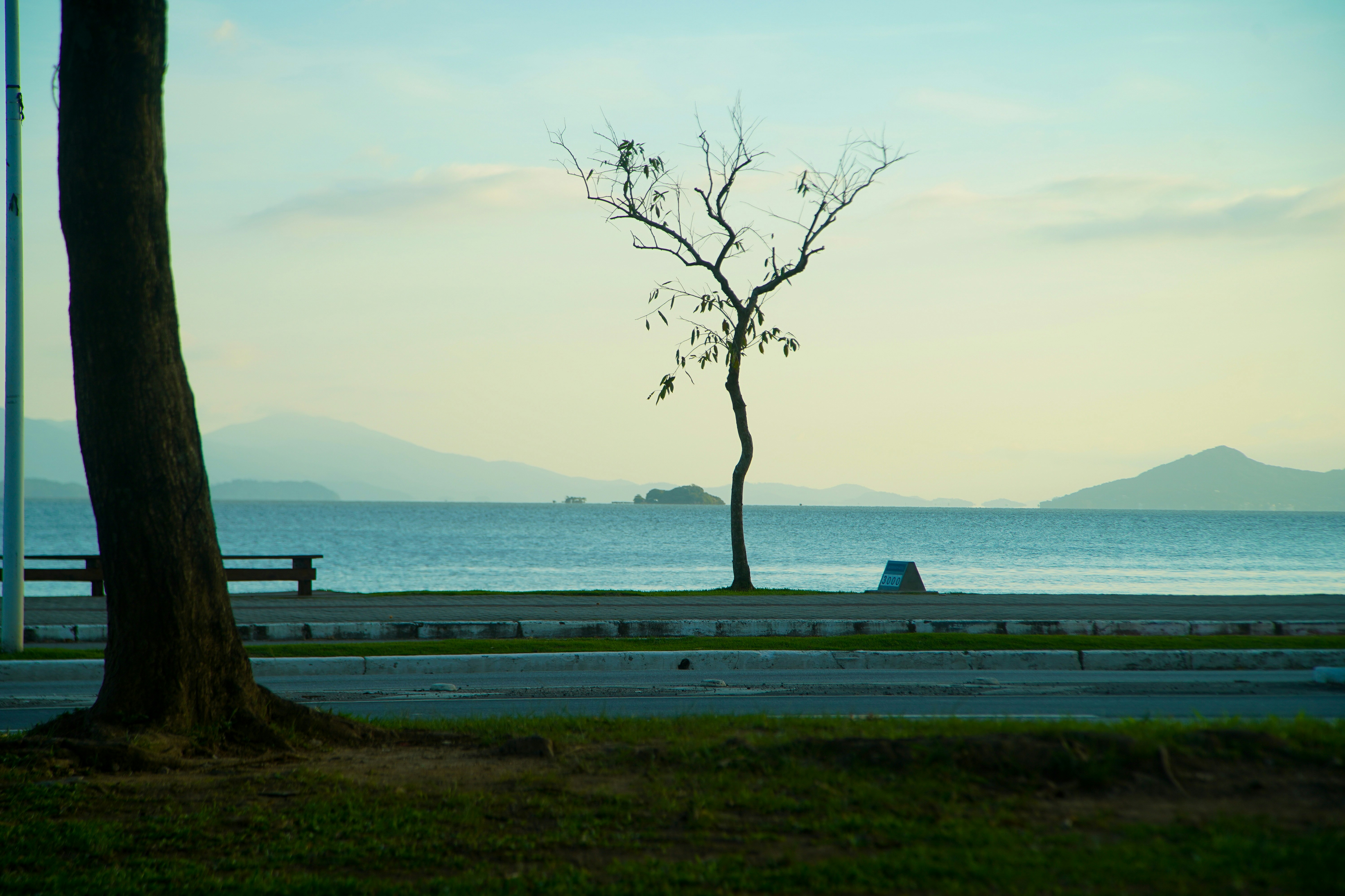 Photo by andytag