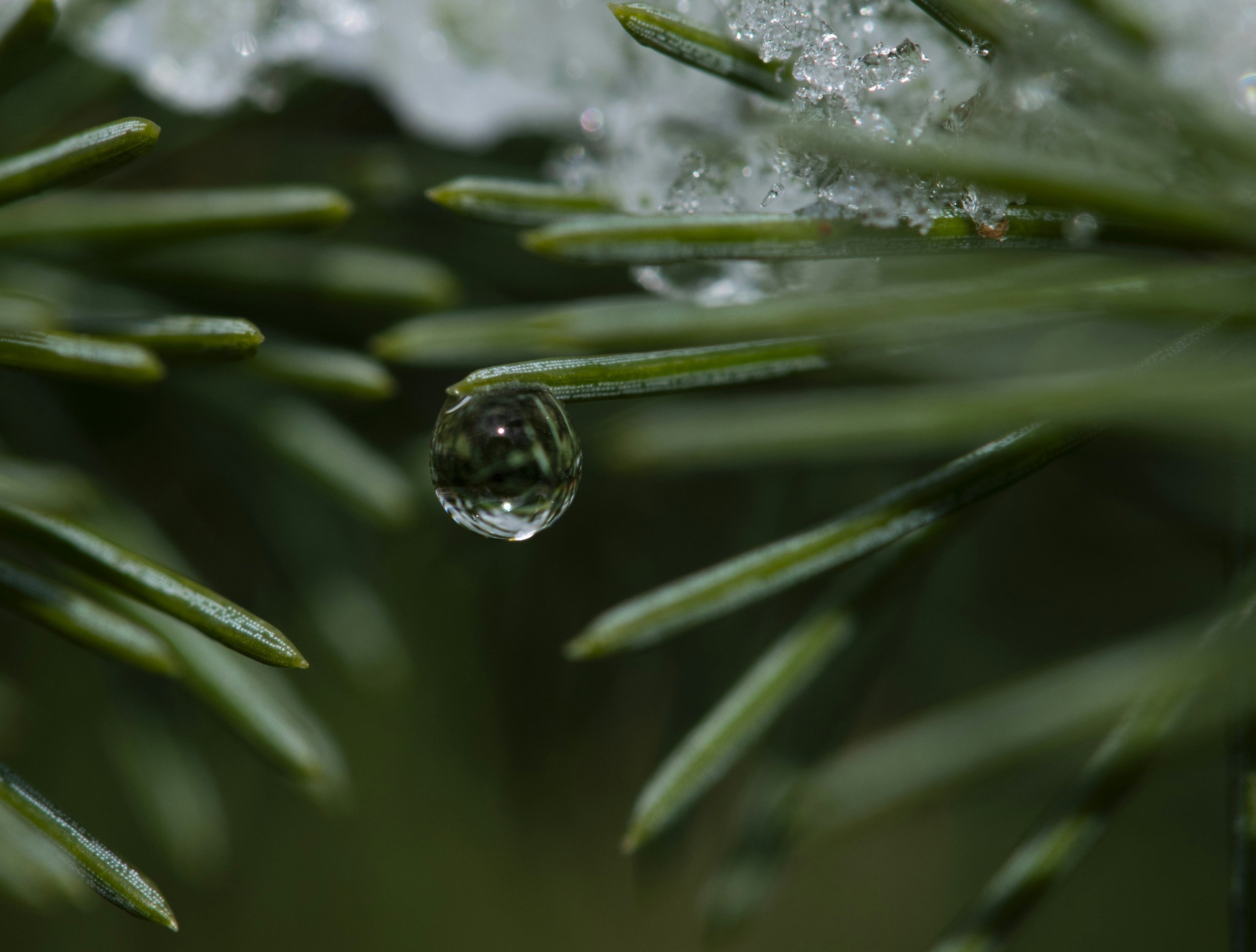 Photo by soulridephotography