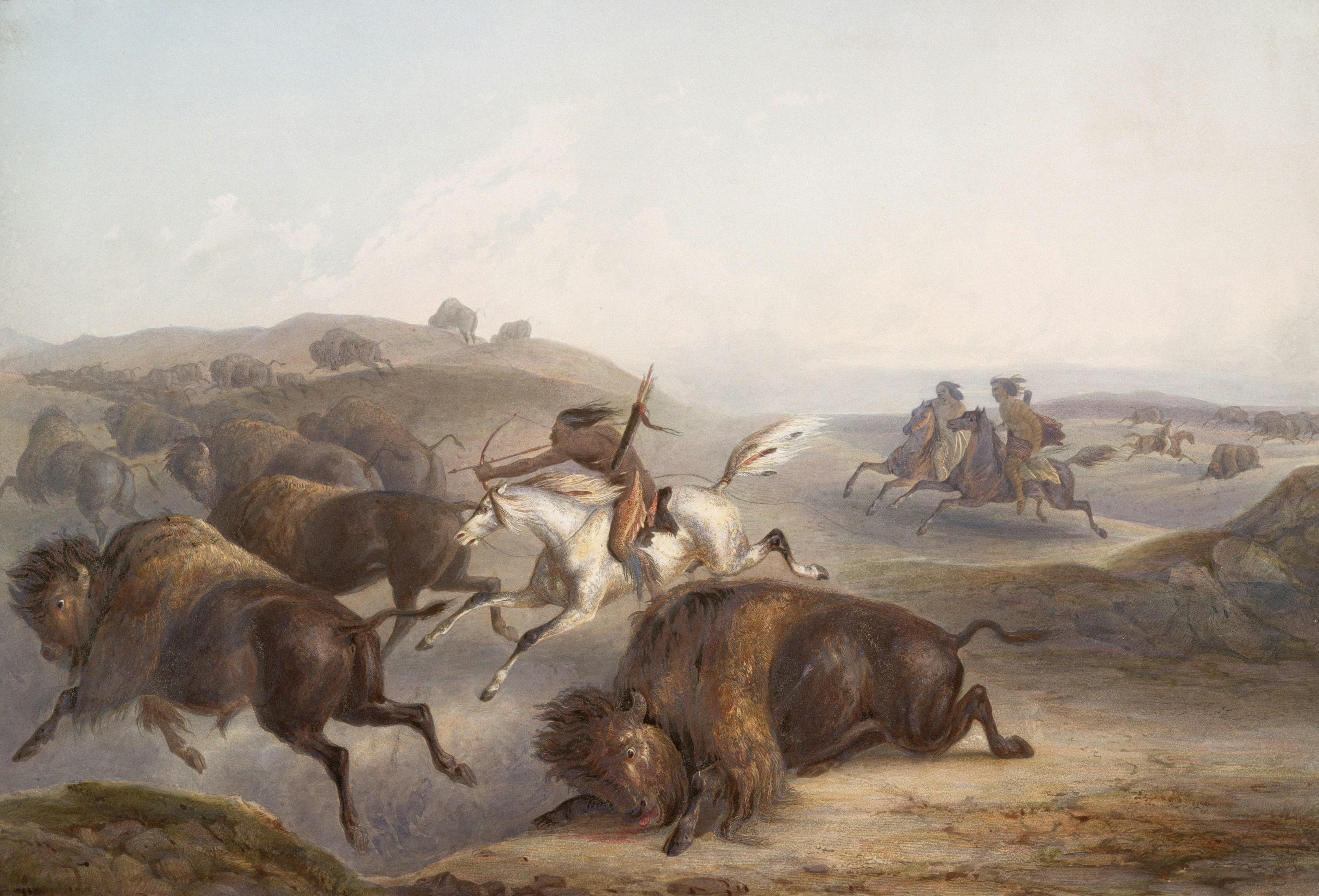 Food Security: From Hunter-Gatherers to Farmers (image credits: unsplash)