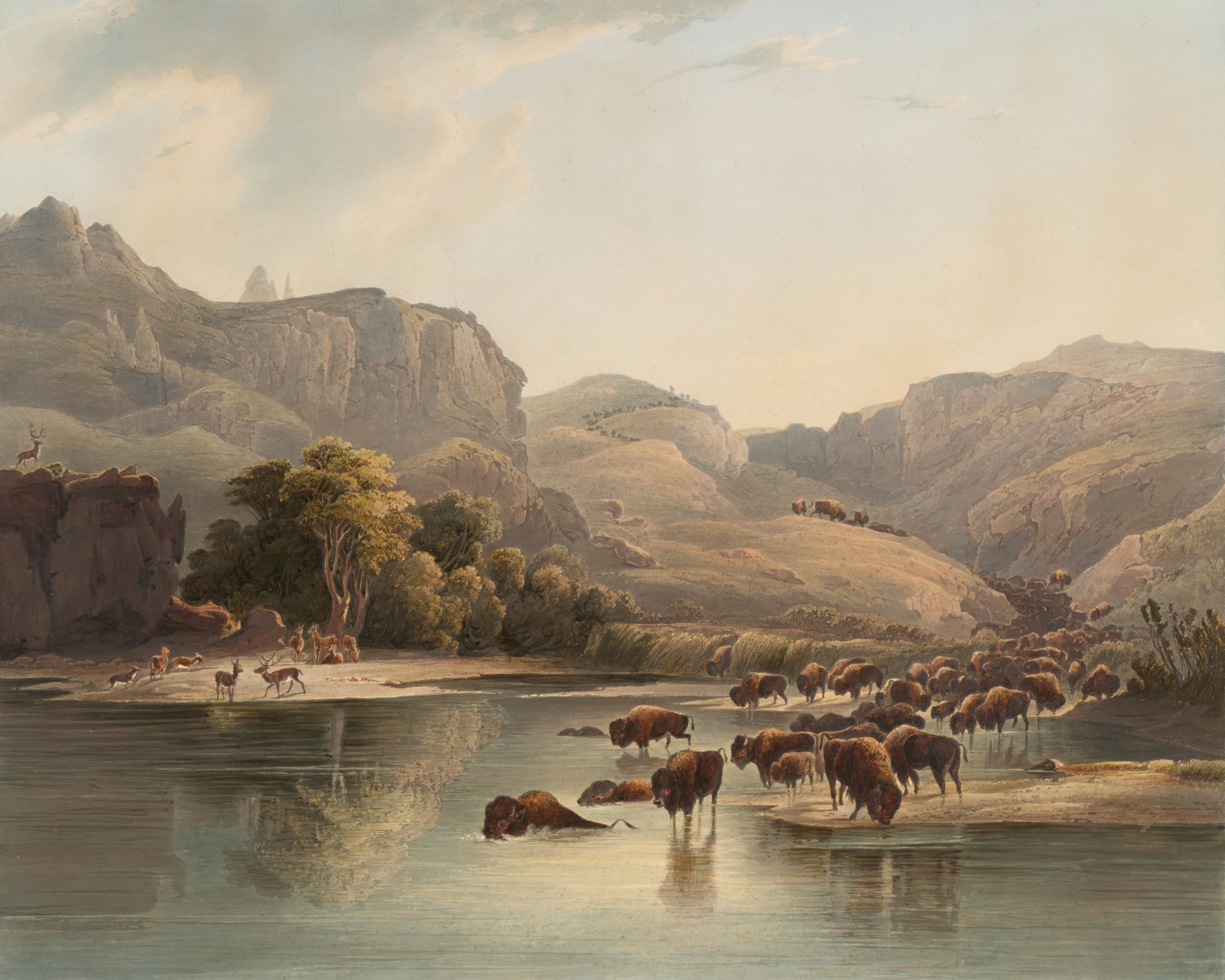 일러스트 포트폴리오 준비 핵심 체크포인트 정리