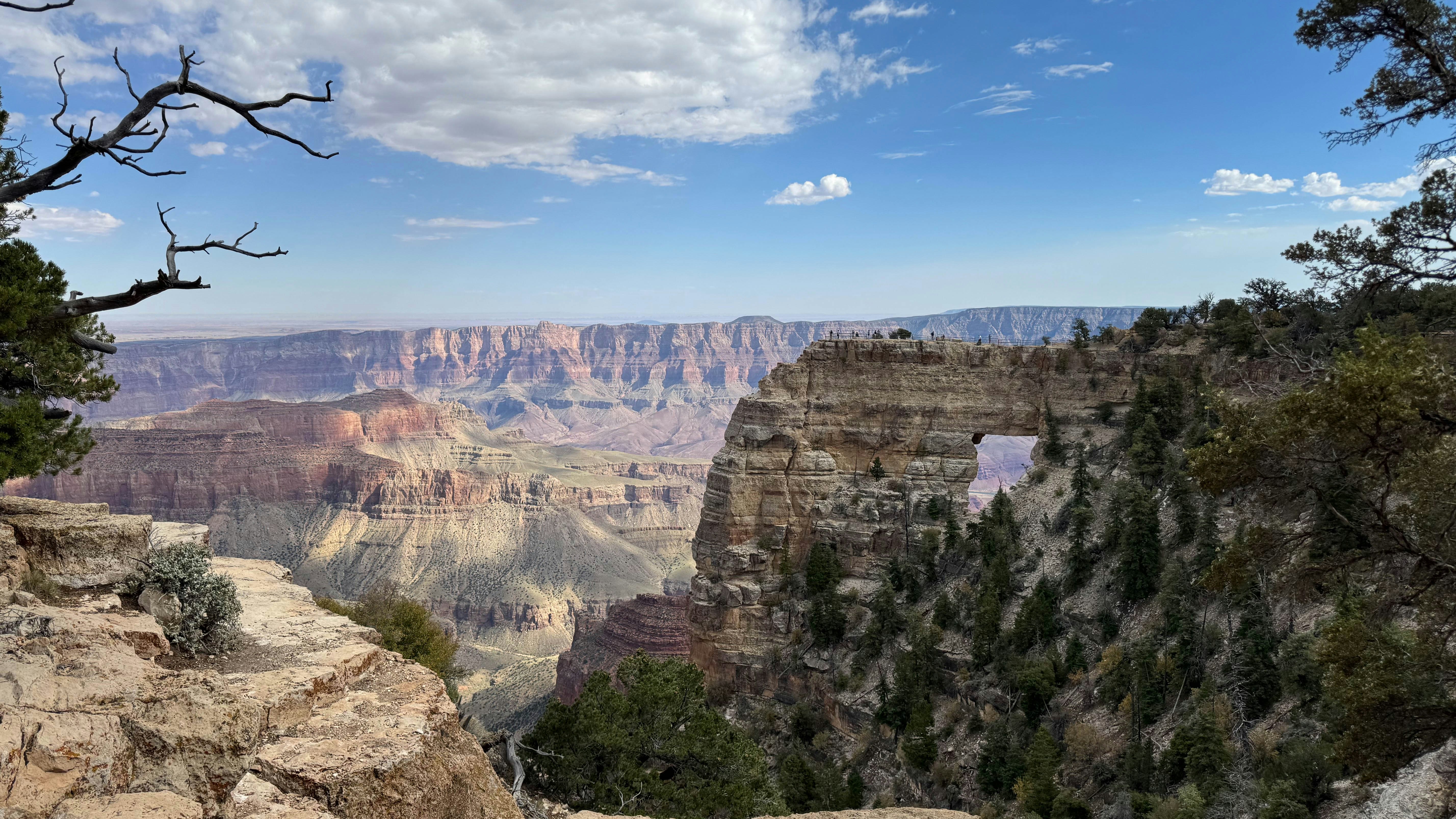A panoramic view of the grand canyon