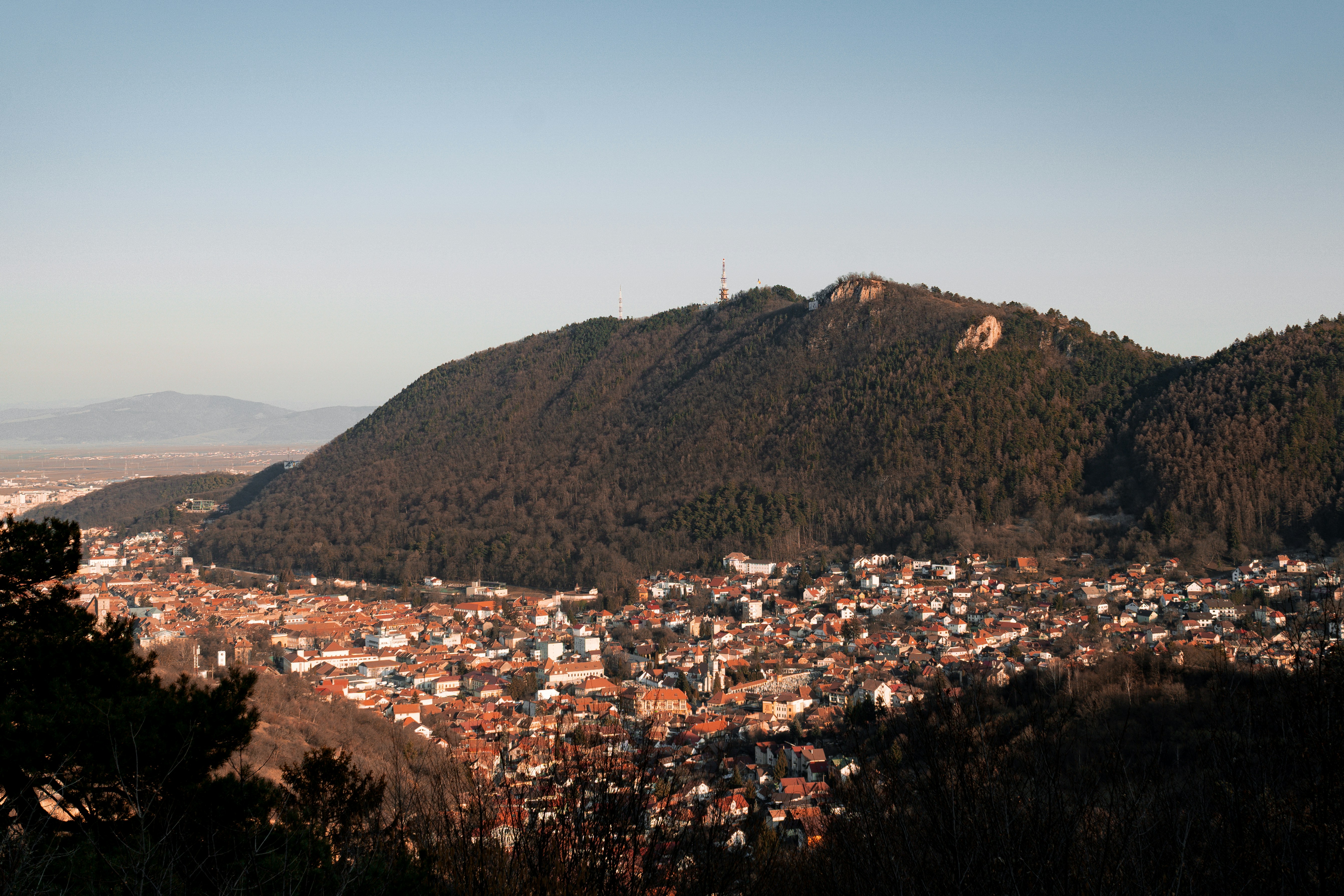 A view of a city from the top of a hill