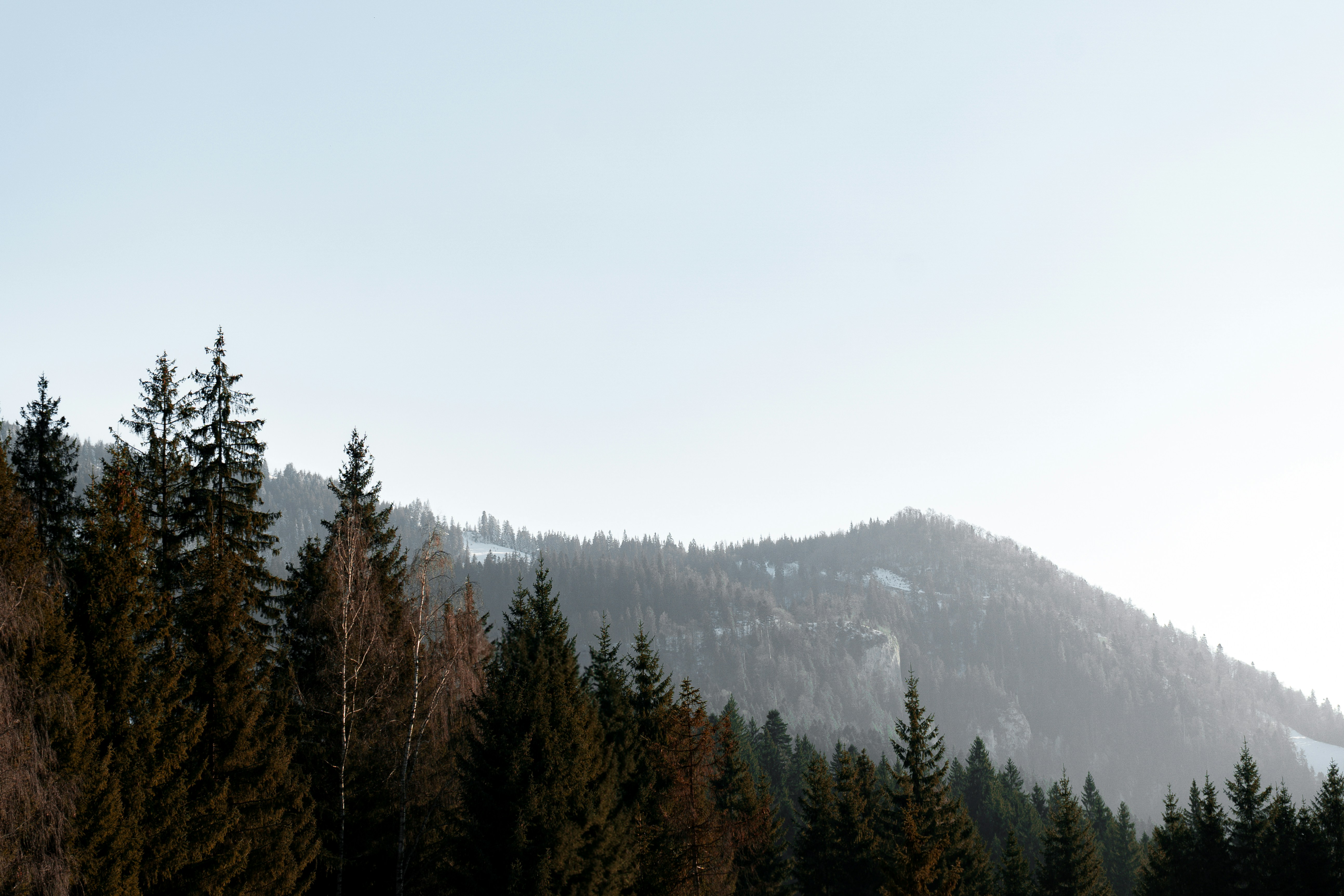 Photo by sometimesiedit