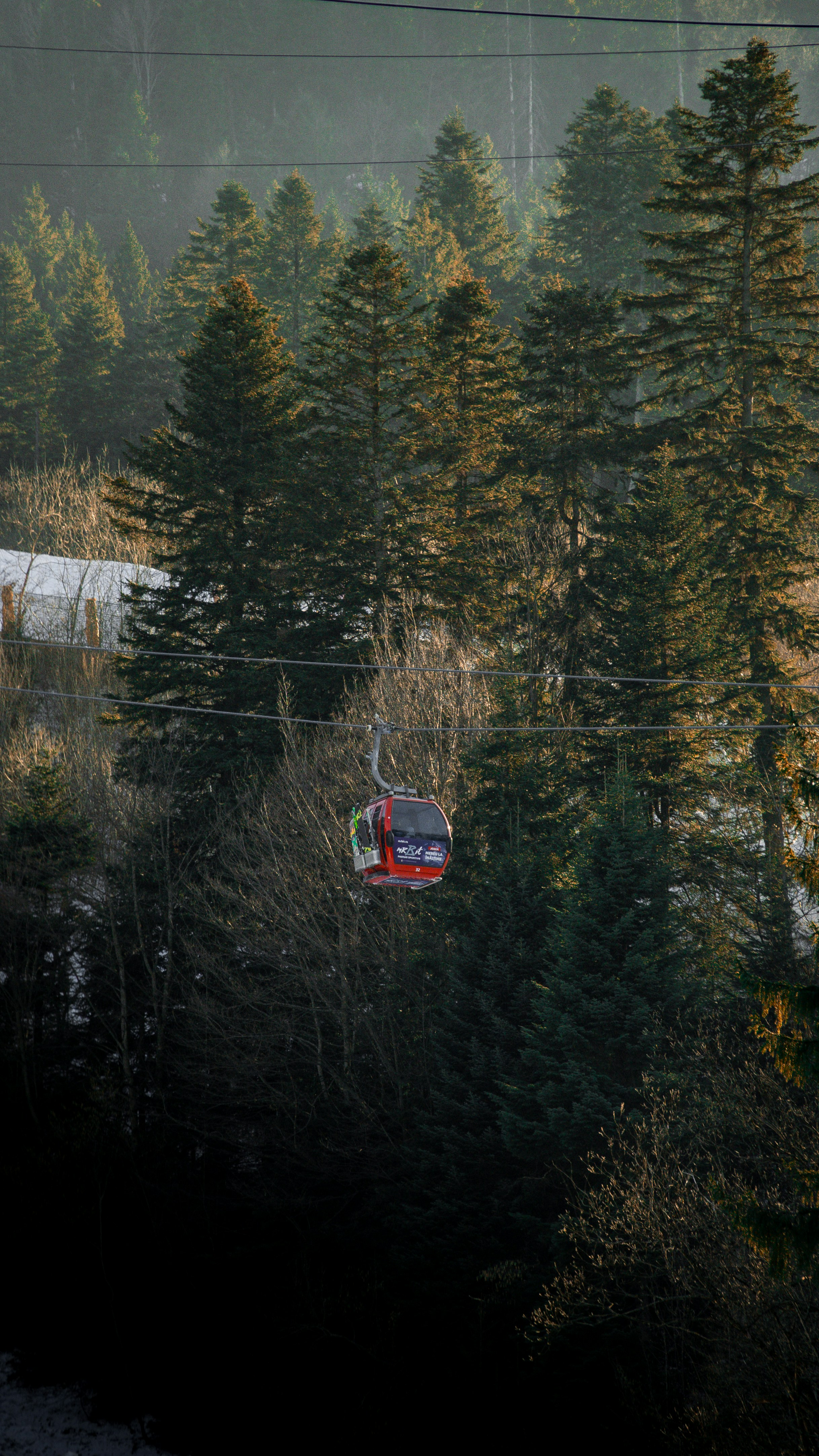 A red train traveling through a forest filled with trees