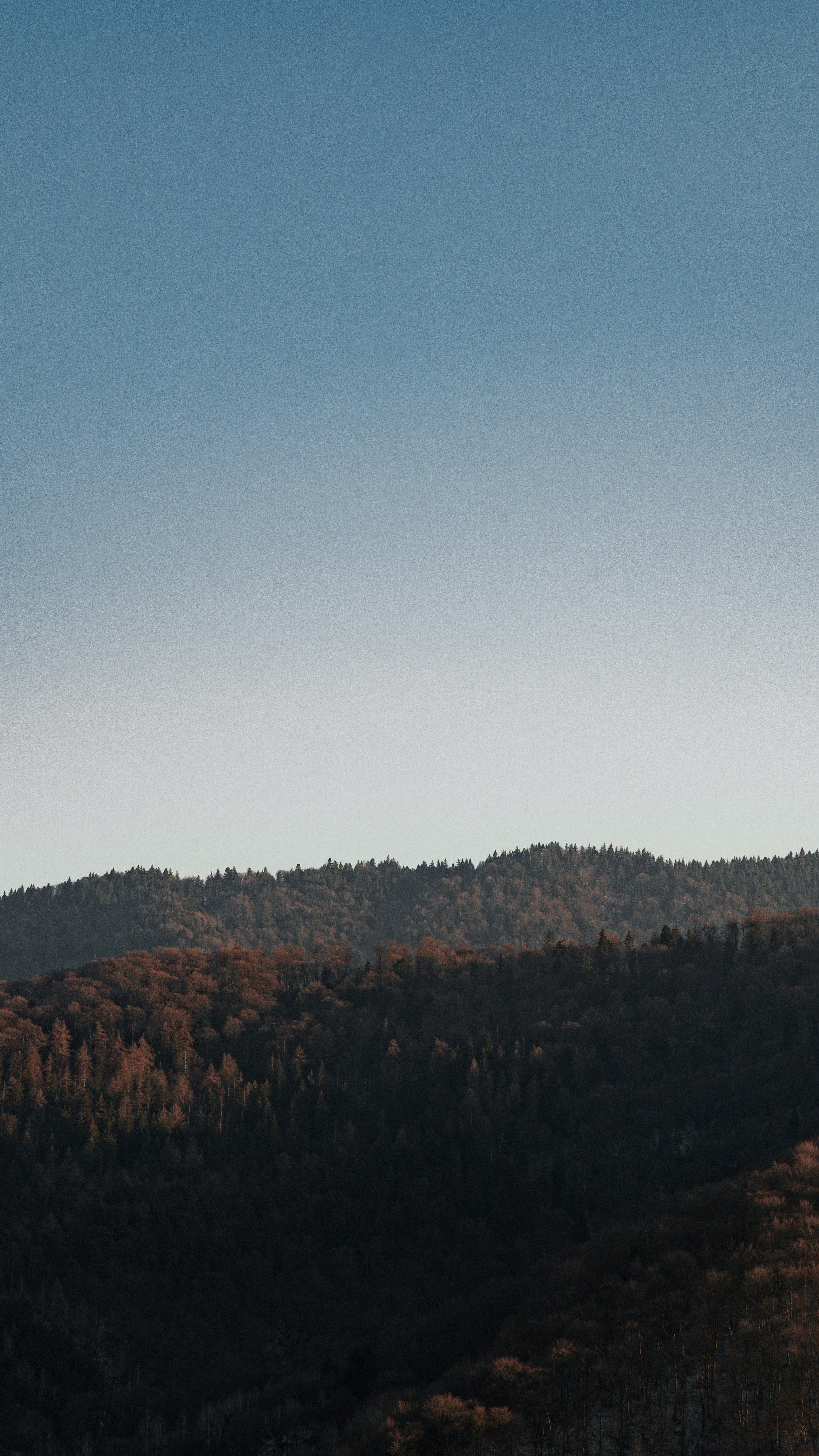 Photo by sometimesiedit