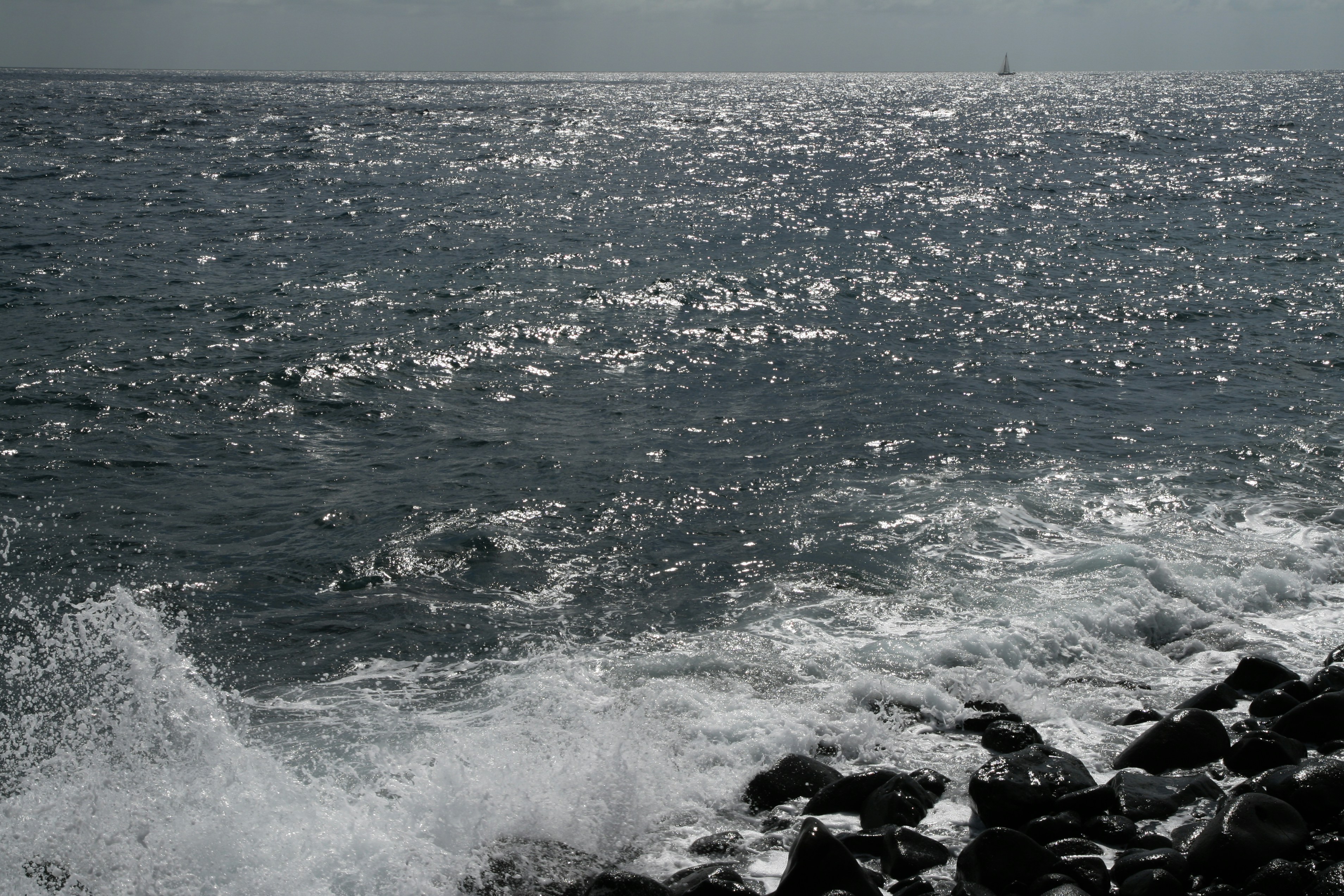 Photo by palepinkgreen