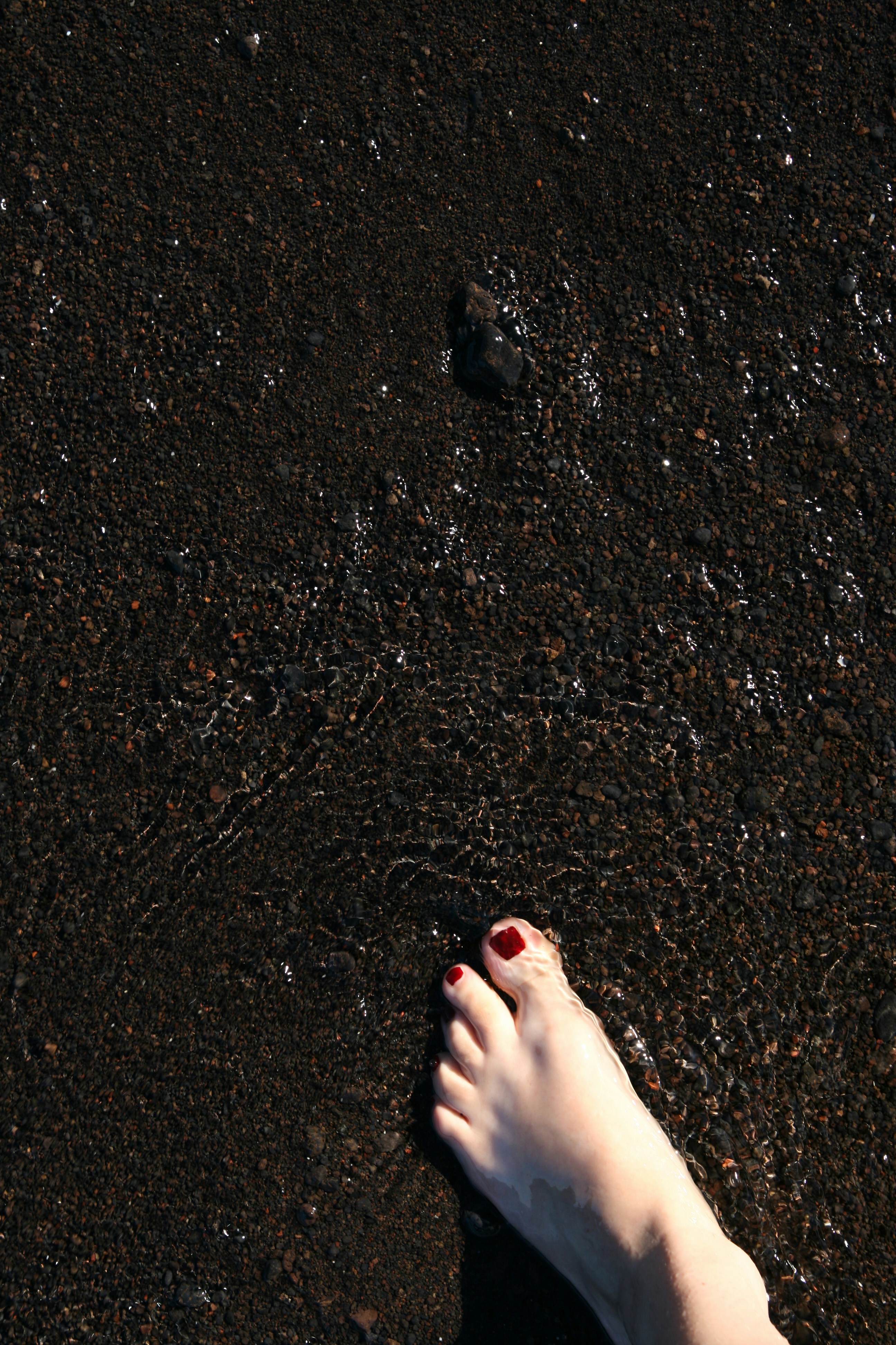 Photo by palepinkgreen