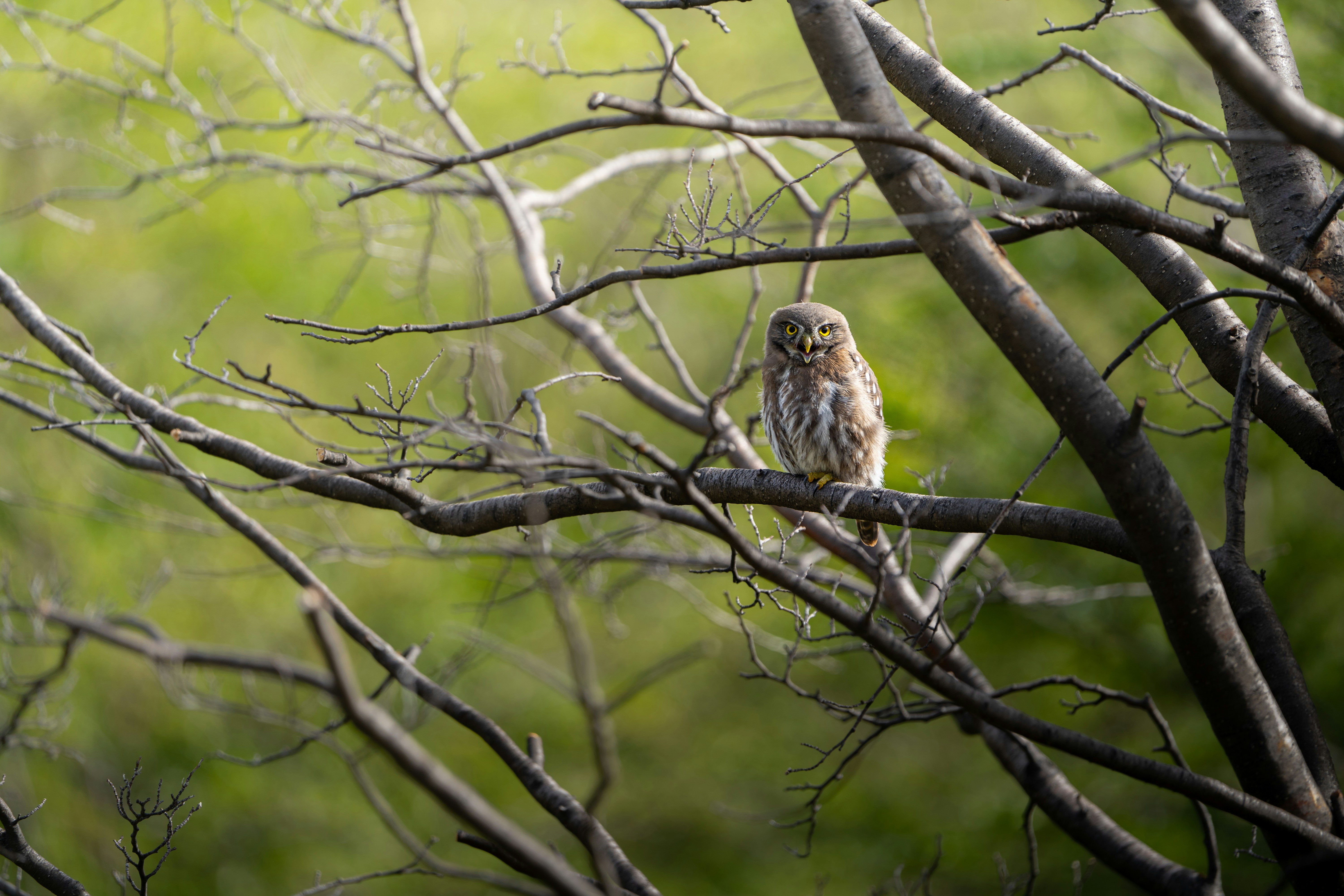 Photo by ignaciobasm