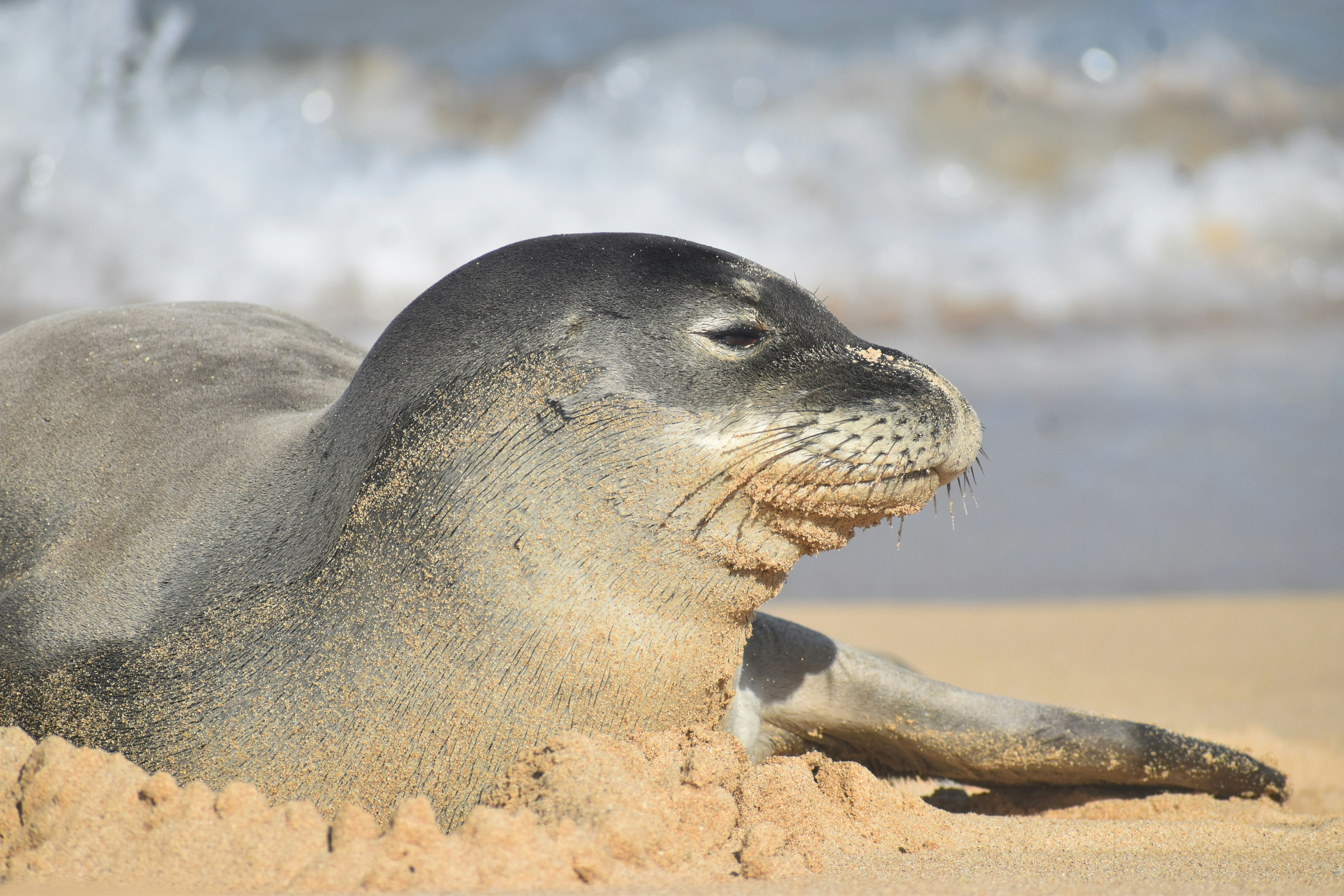 Photo by kaylalinfordportfolio