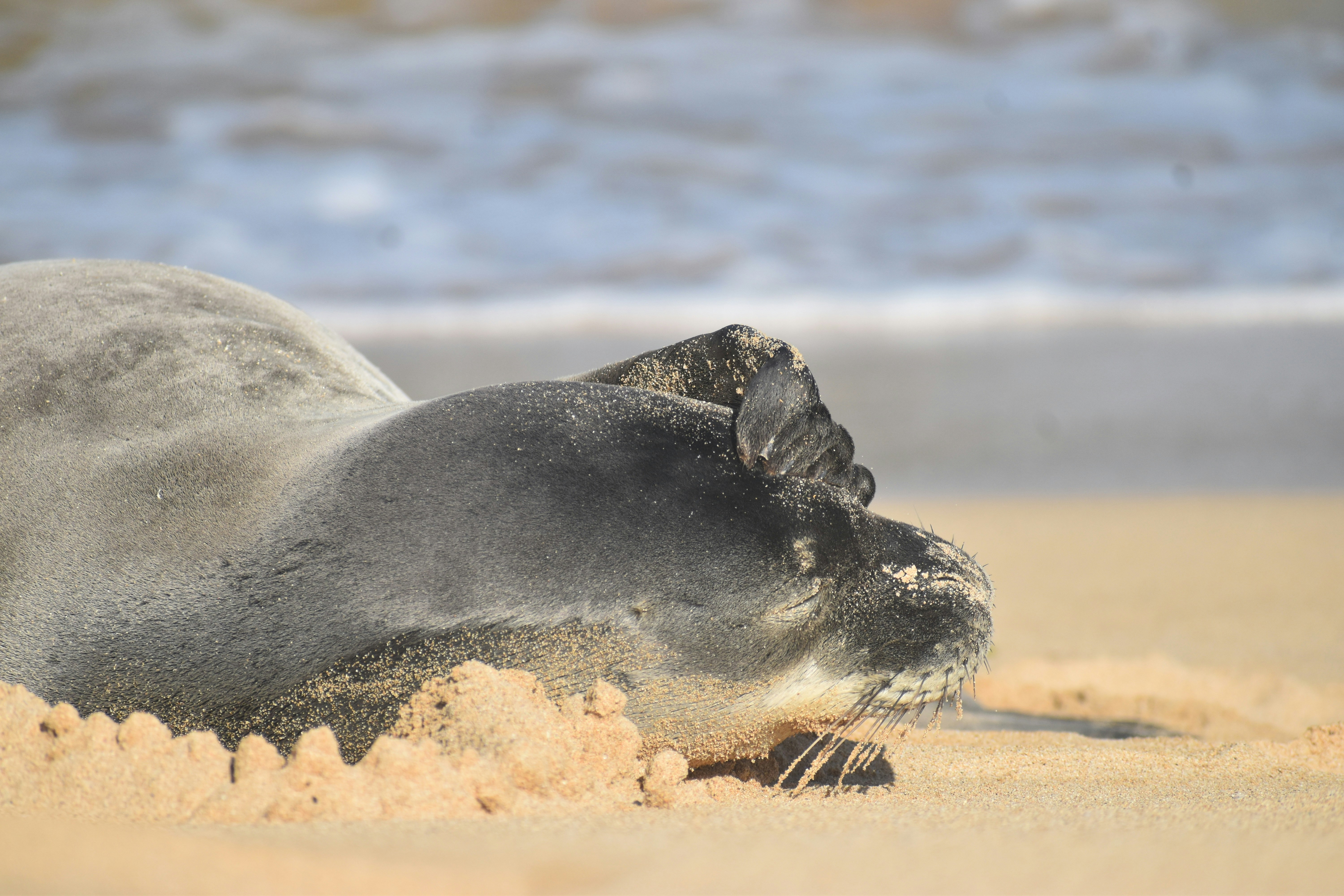 Photo by kaylalinfordportfolio