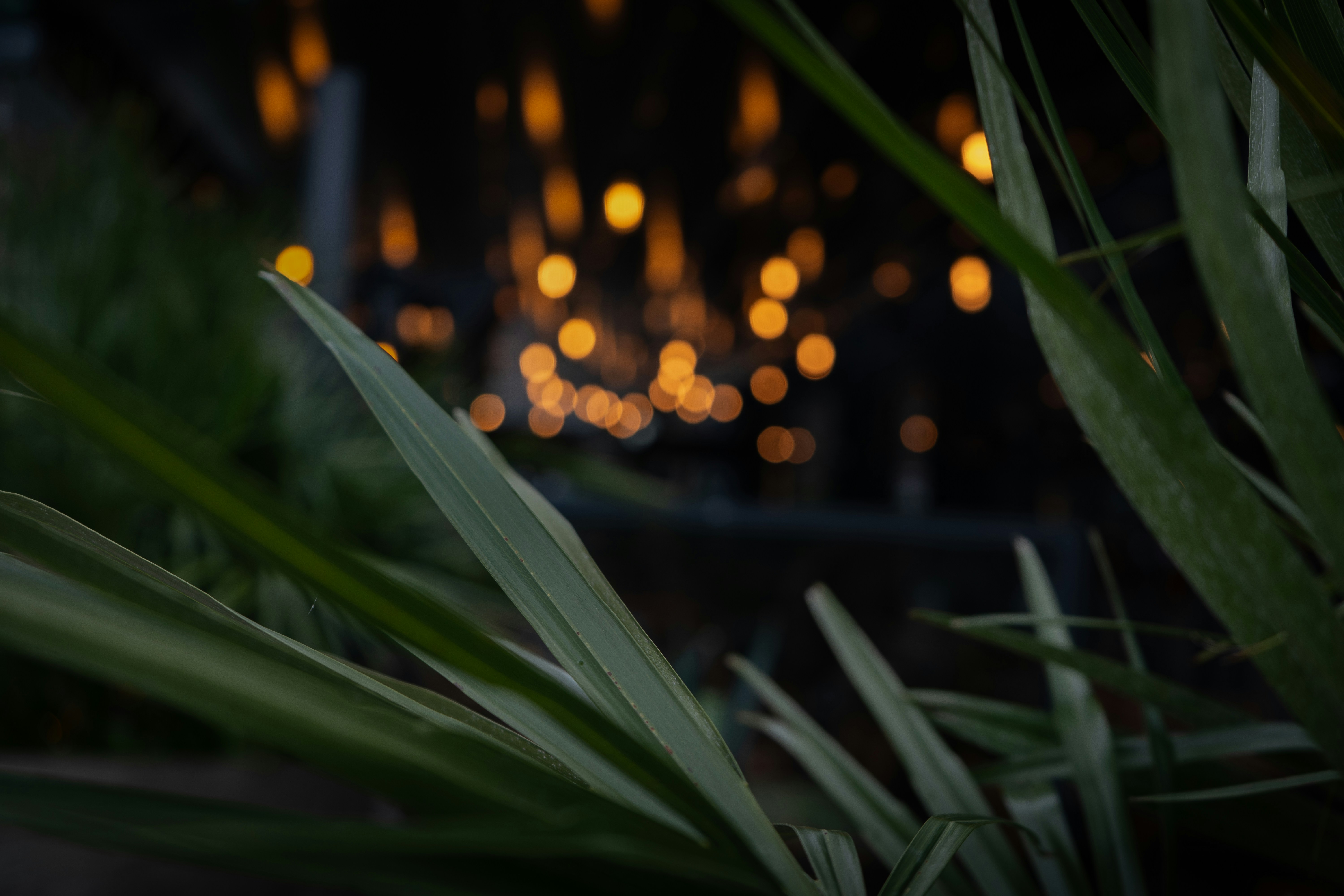 Photo by samuel_hagger