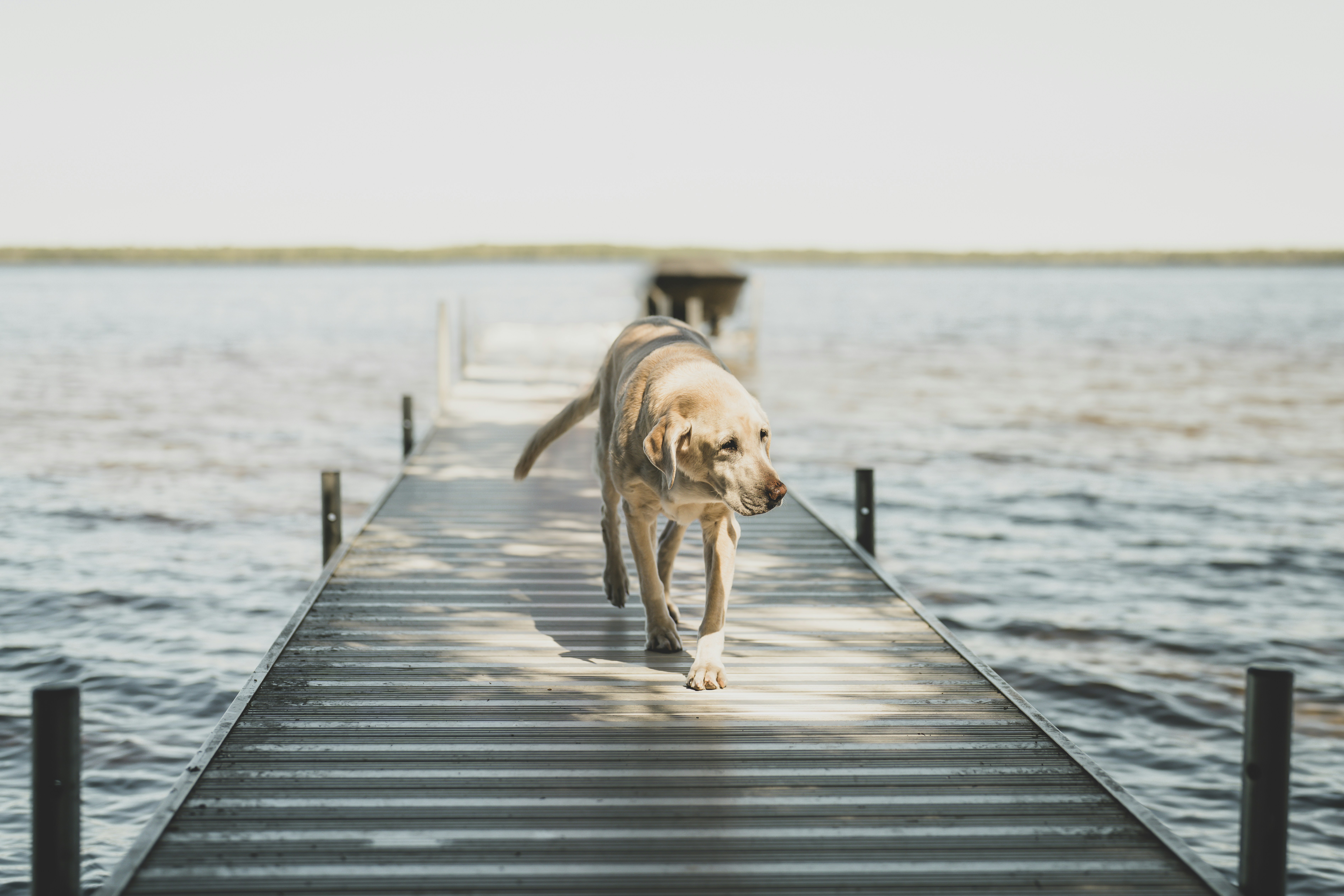 Photo by bugsandslugs