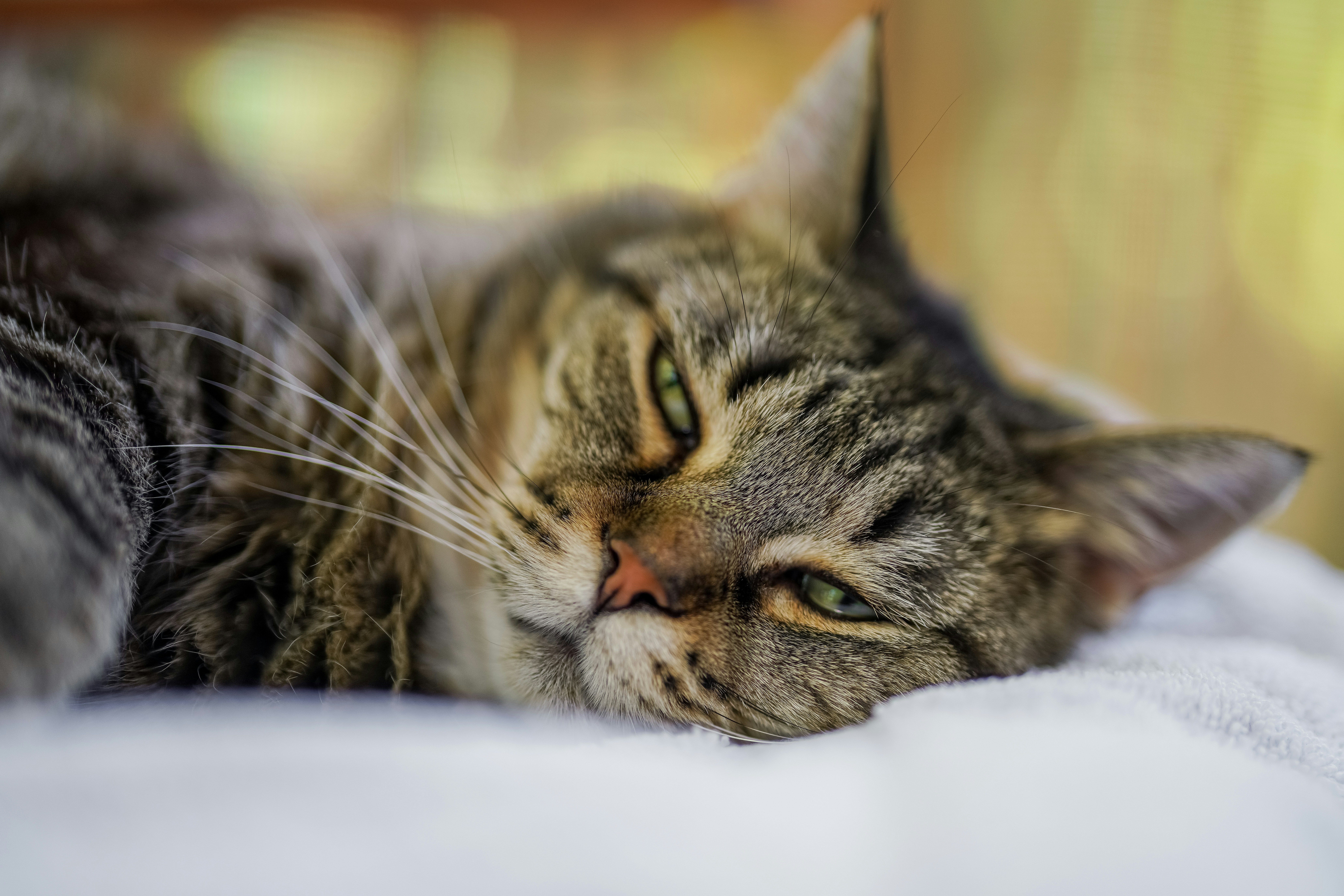 Photo by bugsandslugs