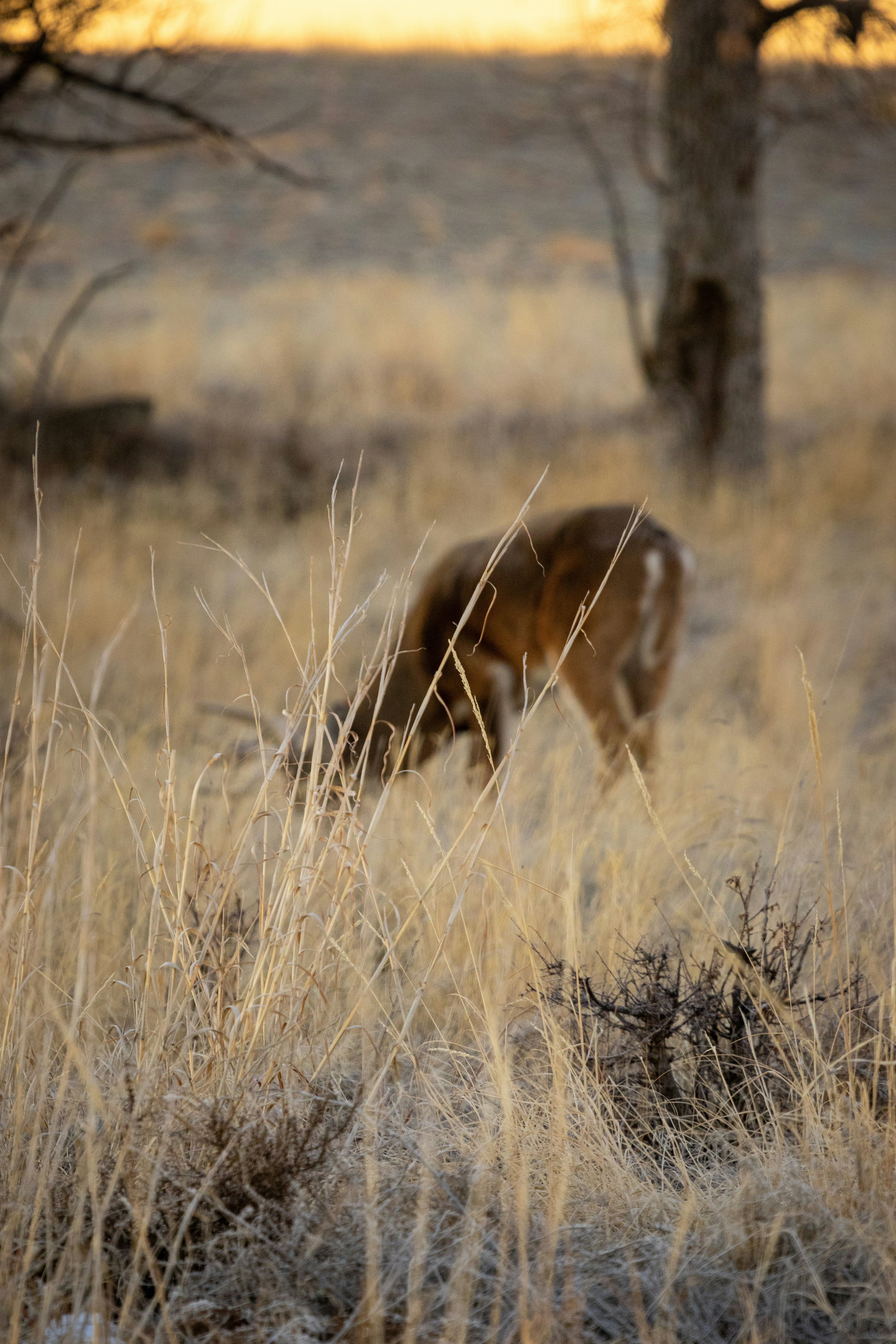 Photo by brandonstoll