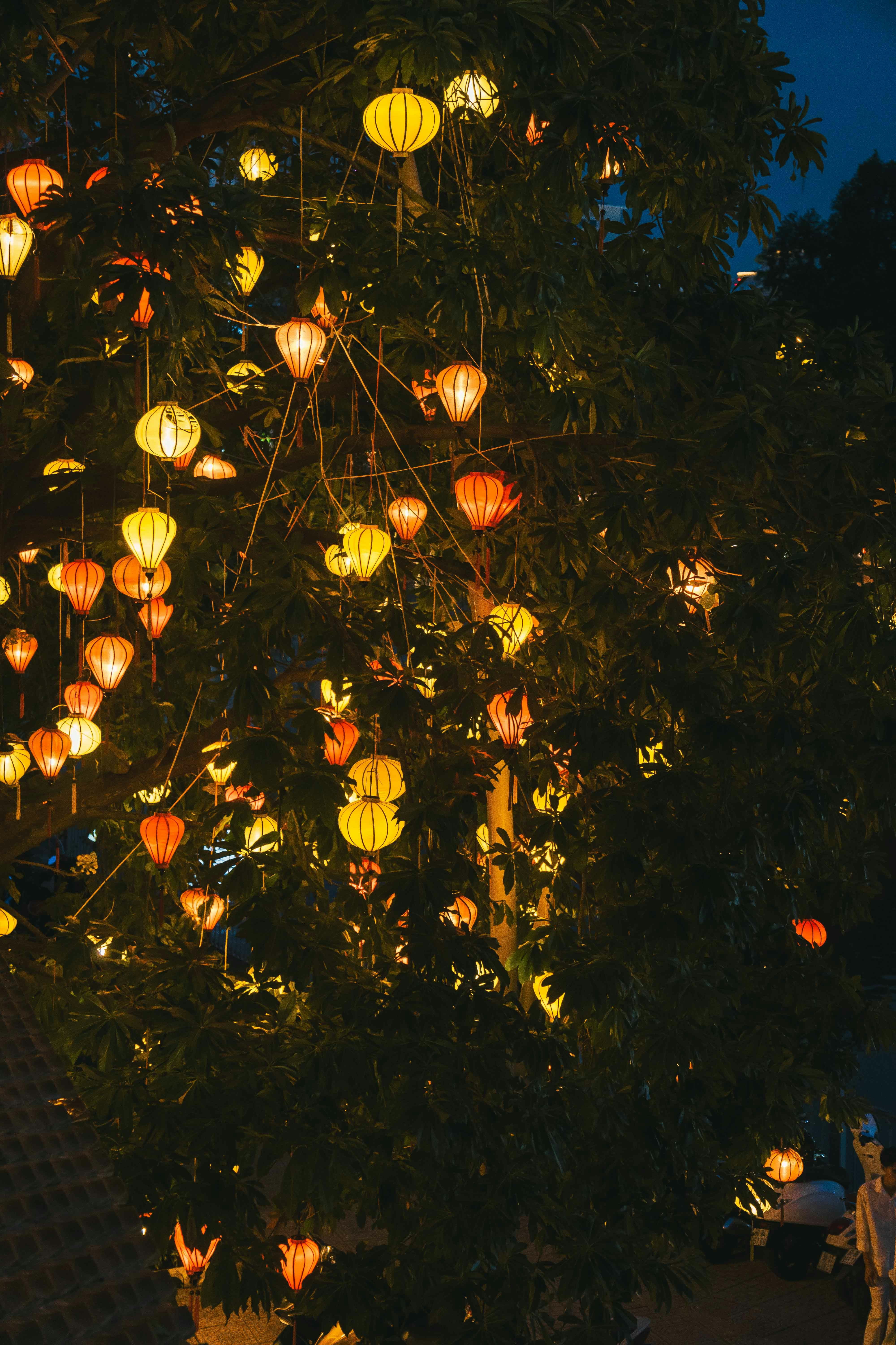 Photo by thejourneyofframes