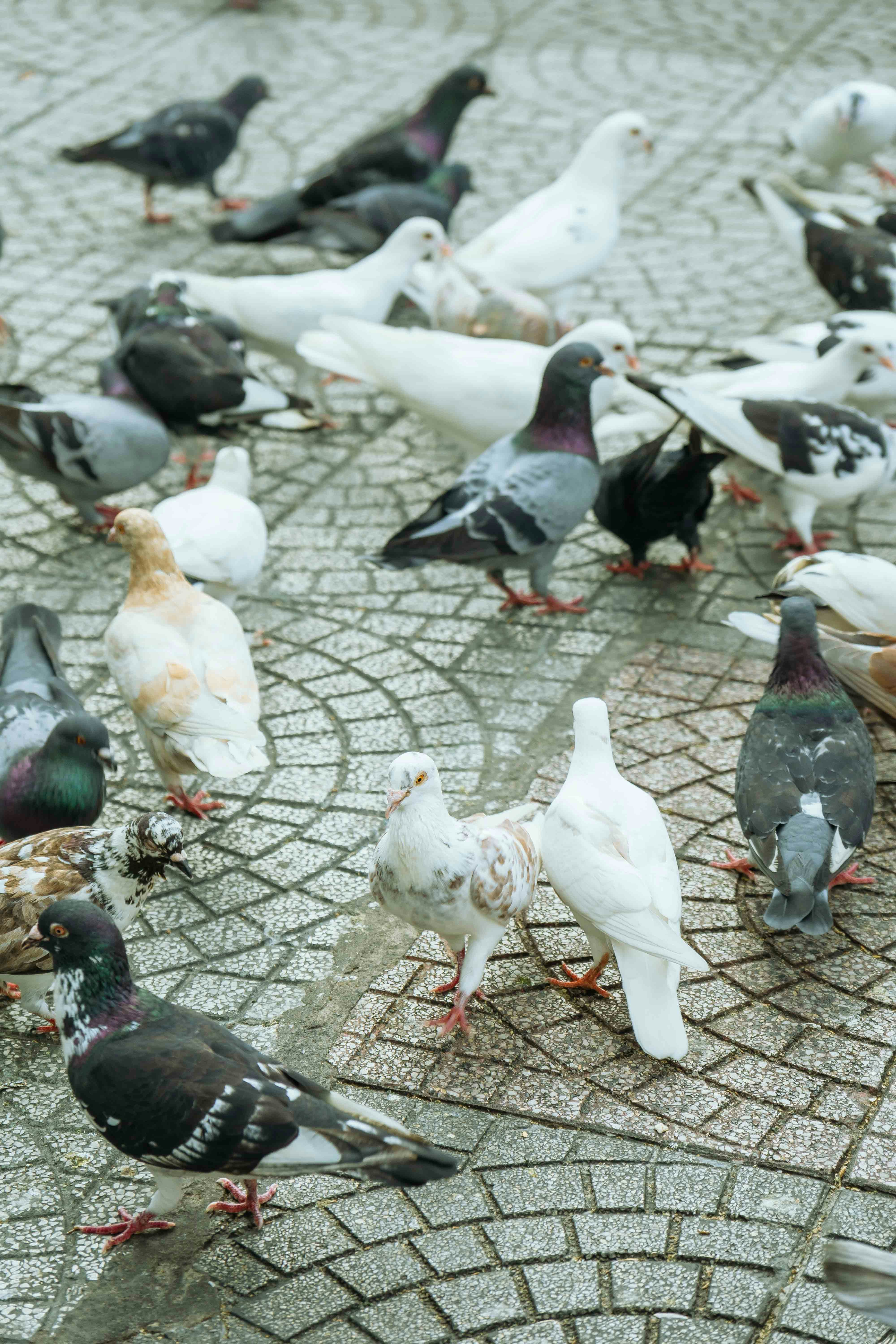 Photo by thejourneyofframes