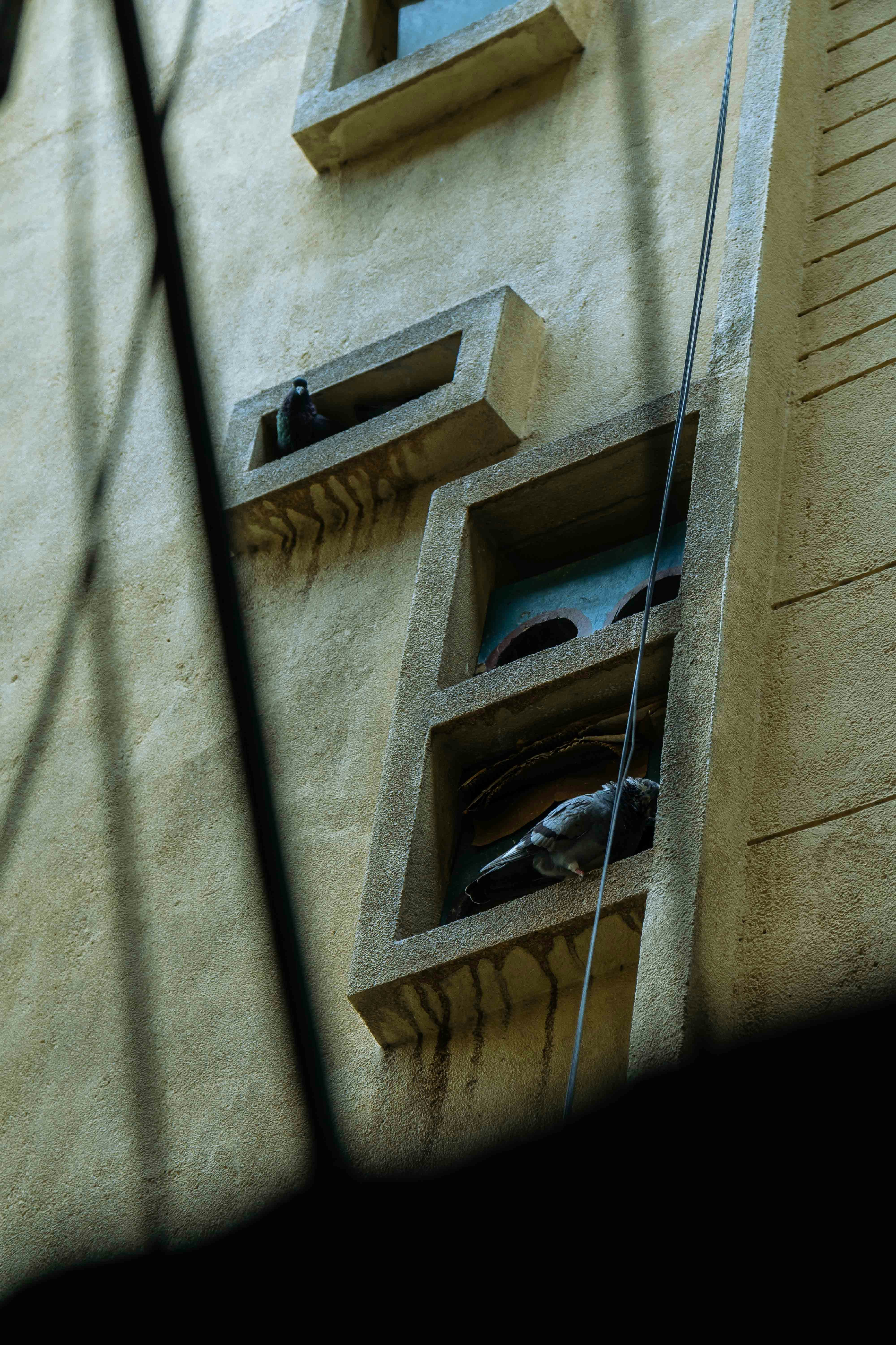 Photo by thejourneyofframes