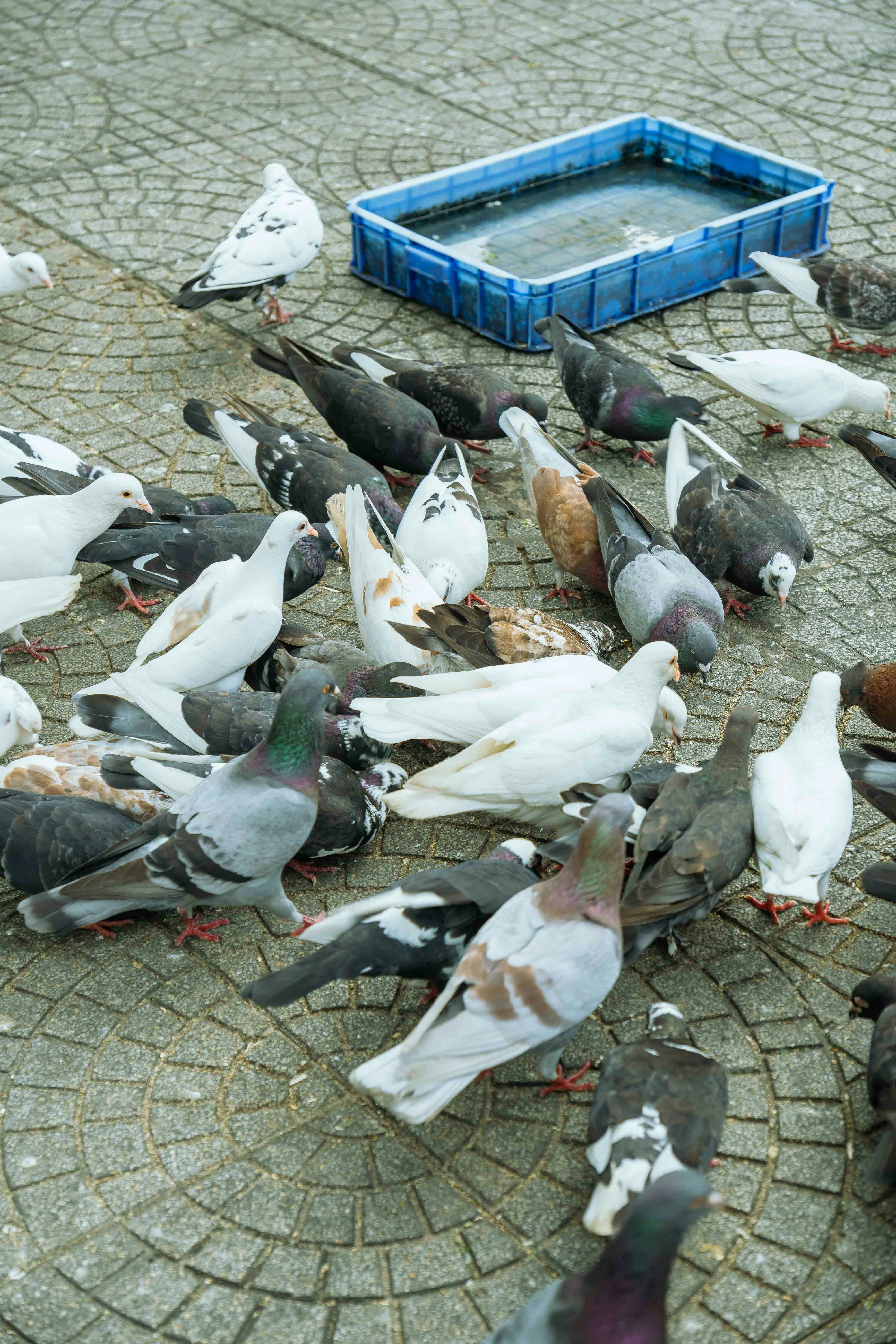 Photo by thejourneyofframes